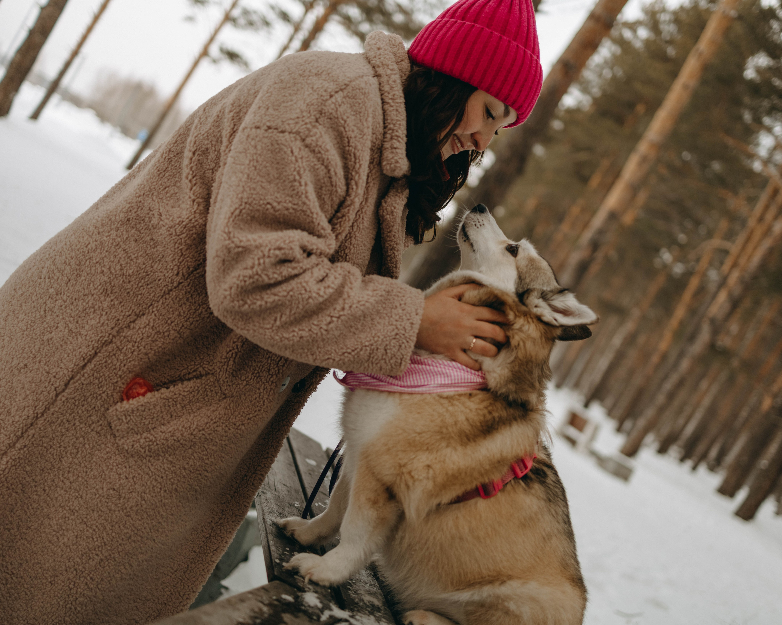 Варвара и Шелби. Фотограф-анималист в Екатеринбурге | Кристина