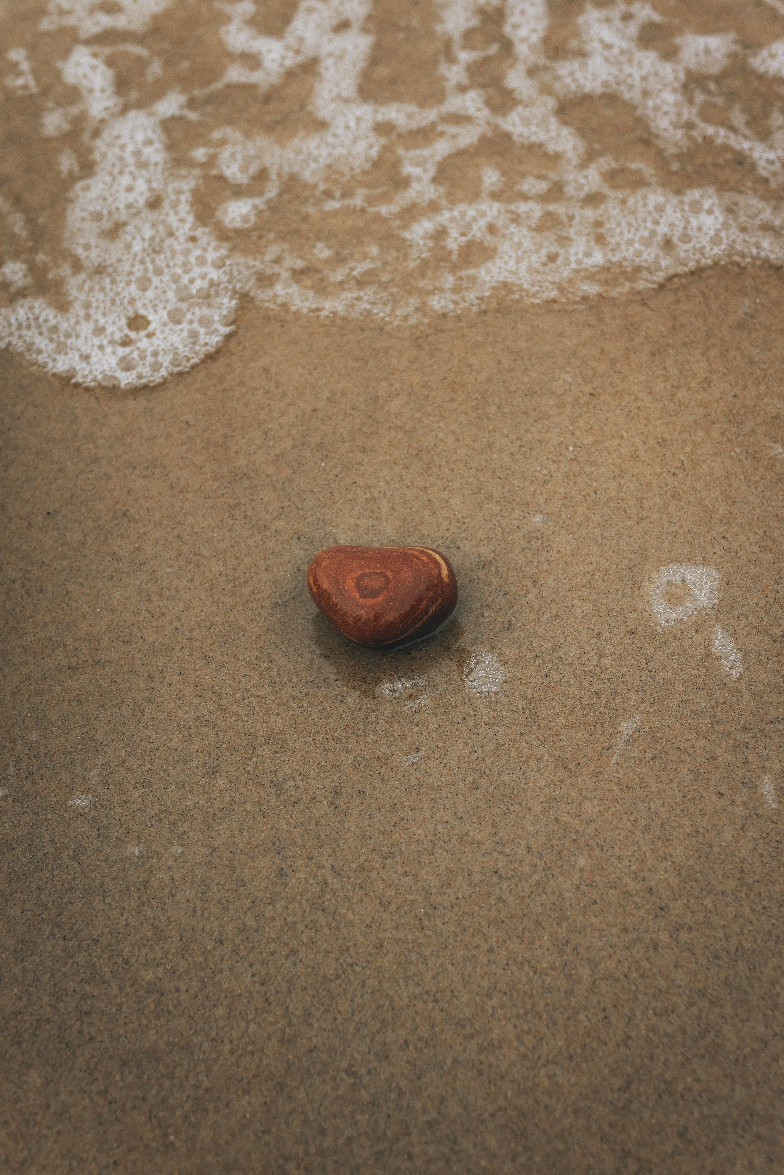 Море + ветер + чайки = Балтика. Фотограф Зеленоградск Красильникова Елена