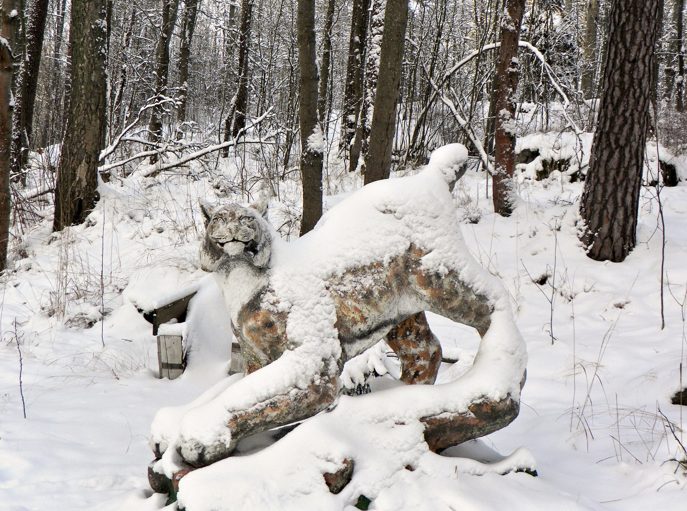 Экскурсия «Забытая Финляндия. Русская крепость, гроты, стихия воды и камня» (зима 2026). Автор: Марина Тихомирова