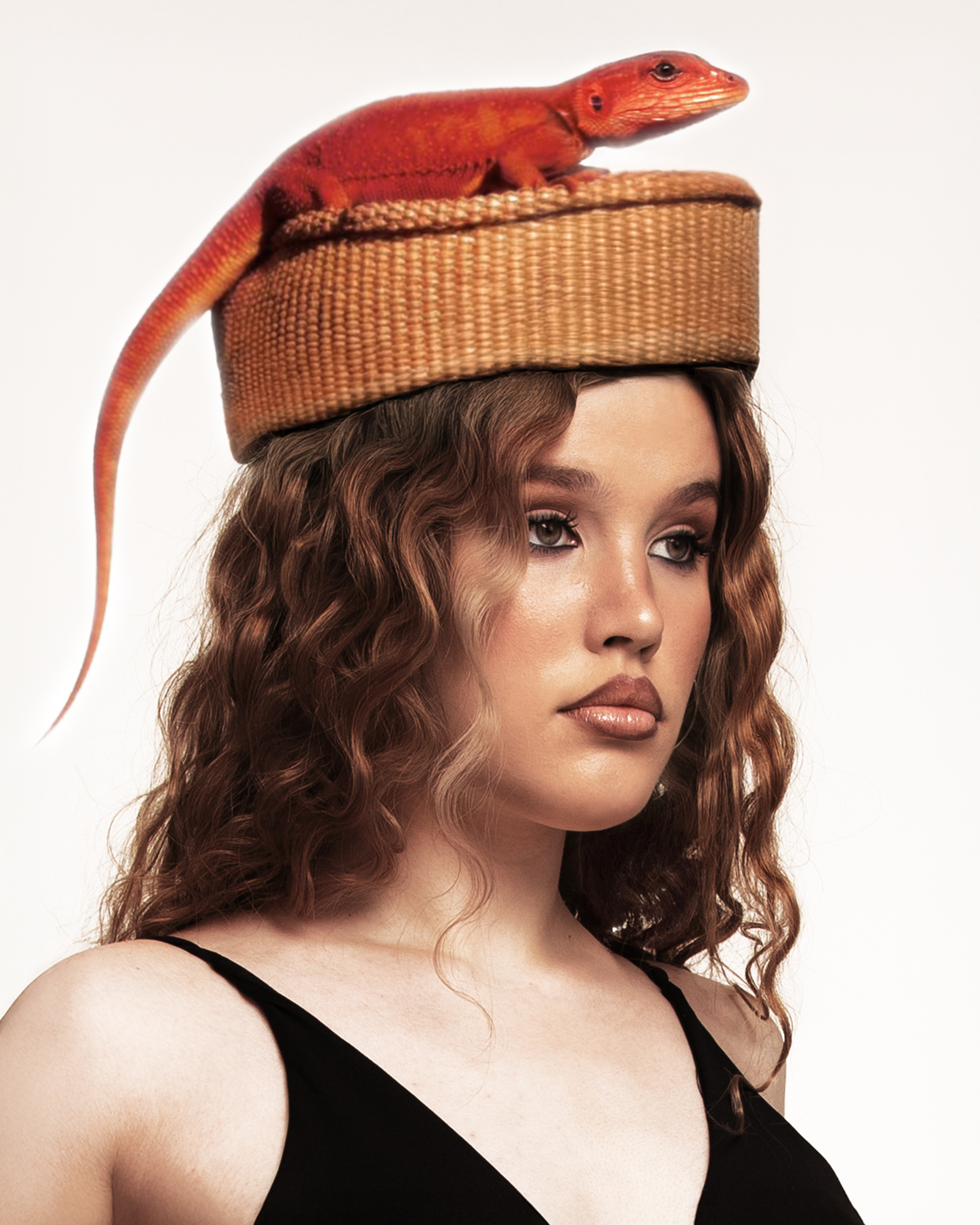 Портфолио. Главная