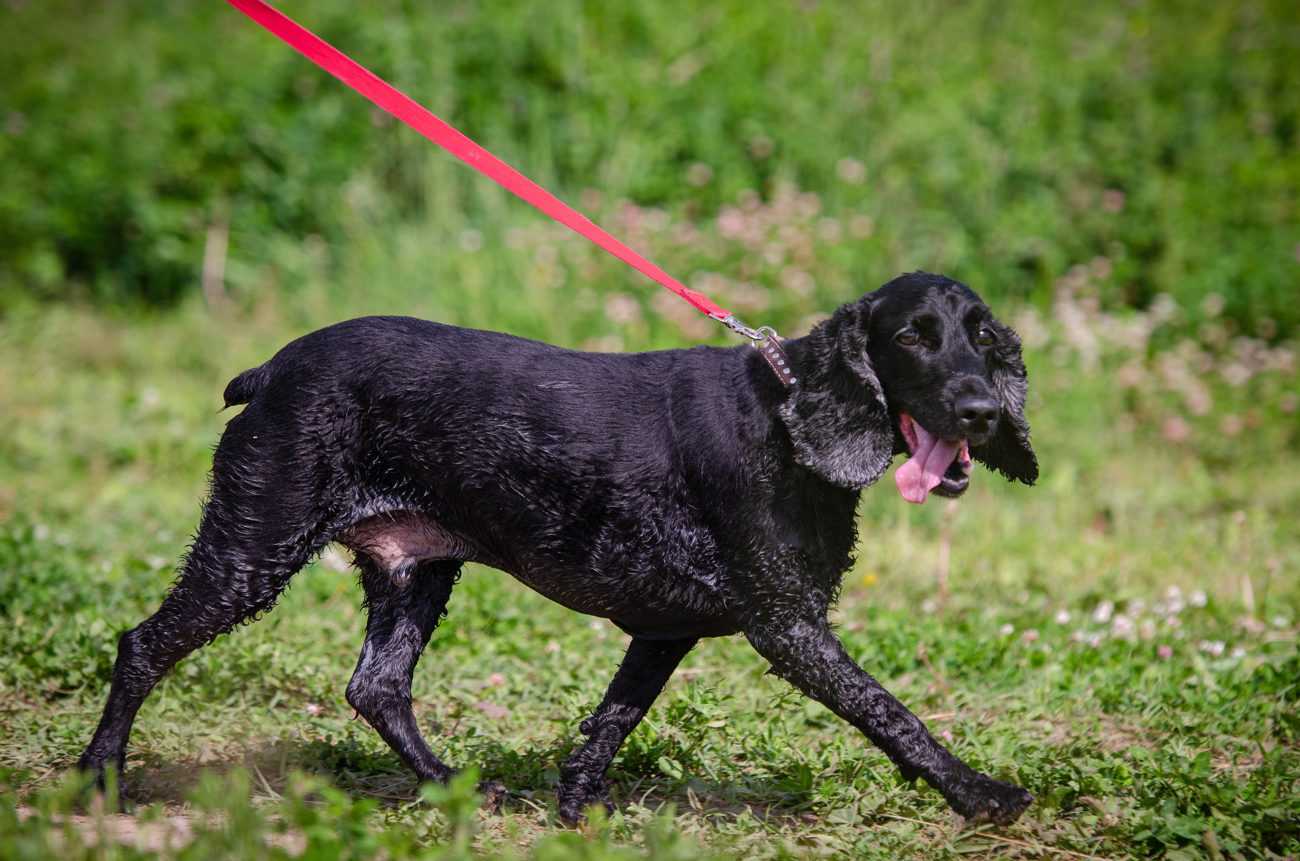 Прогулка (Лохин остров). Фотограф Светлана Блинова, Москва и Московская область