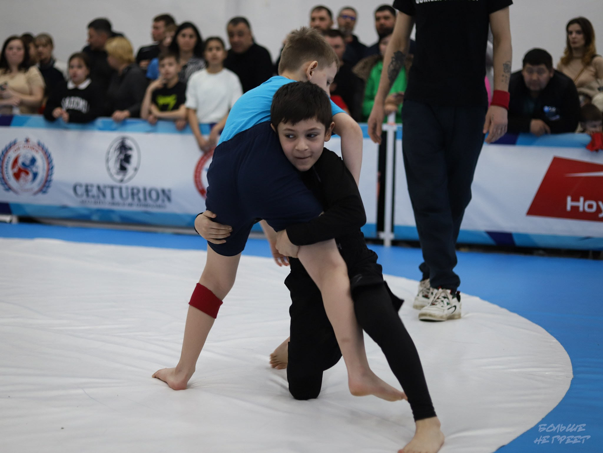 GORILLA PRIDE CUP. Больше не греет