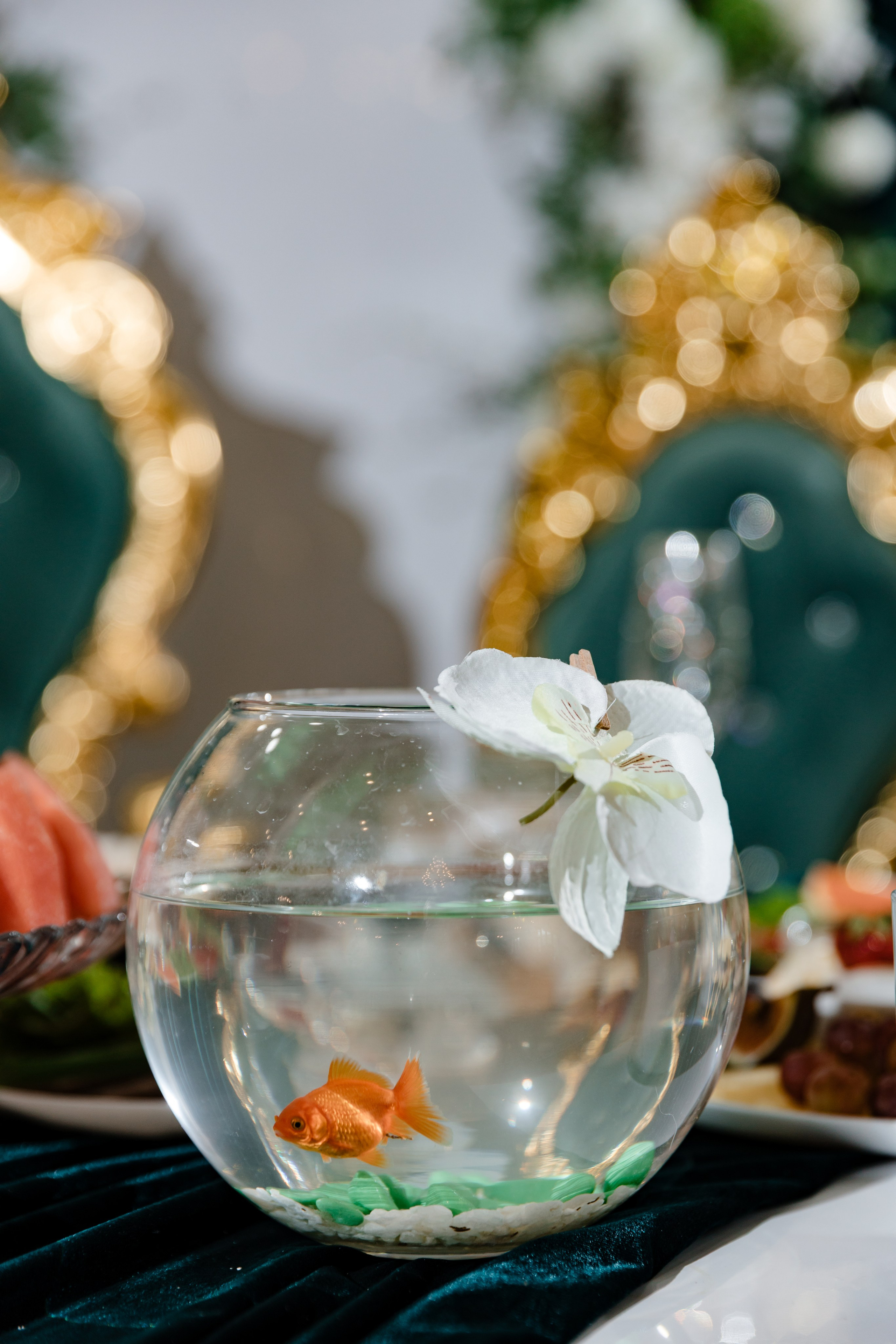 Илья и Галина. Свадебный и семейный фотограф Белово Анастасия Пьянкова