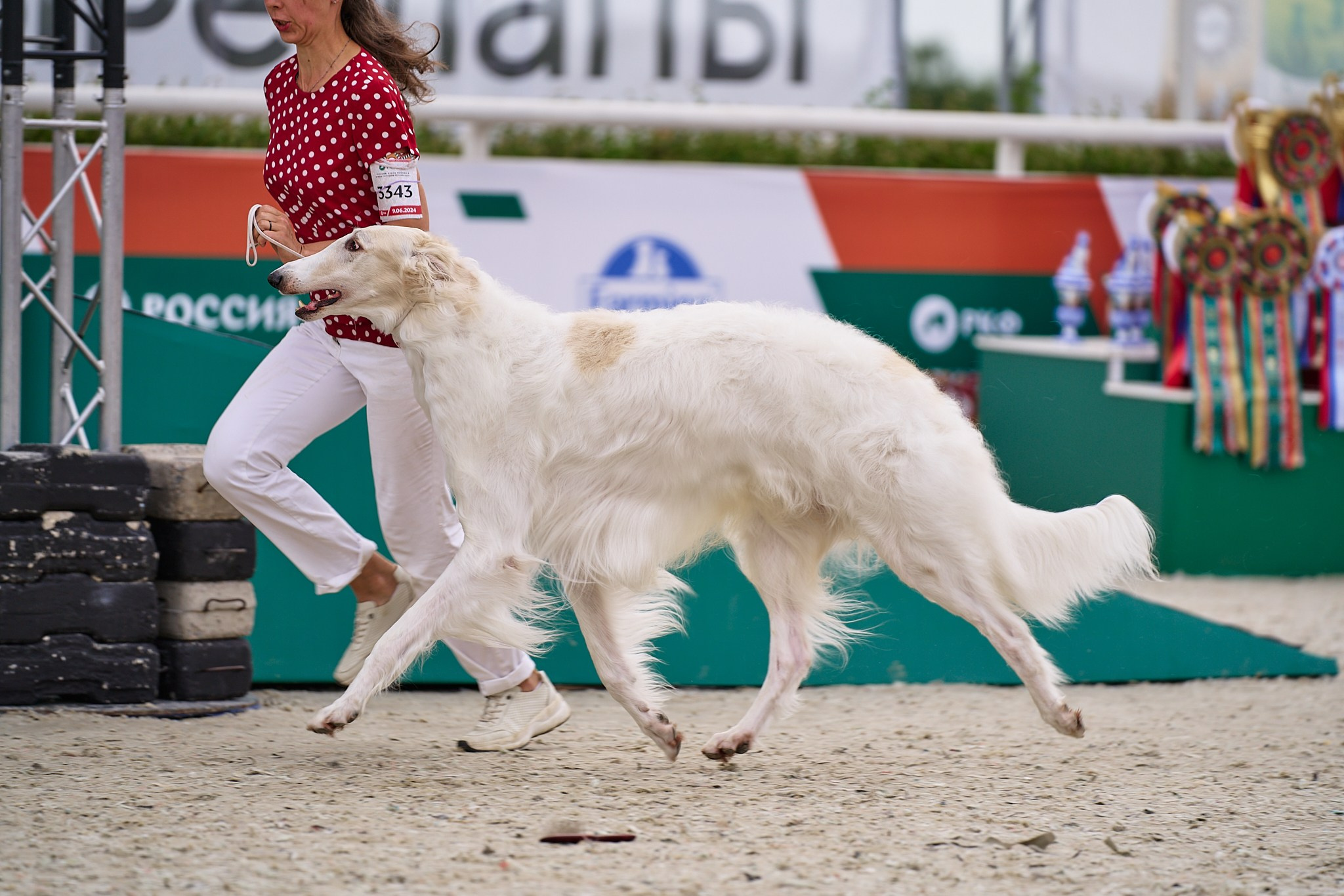 09.06.2024, «РОССИЯ. КУБОК МОСКВЫ 2024 & КУБОК ГОРОДОВ-ГЕРОЕВ»