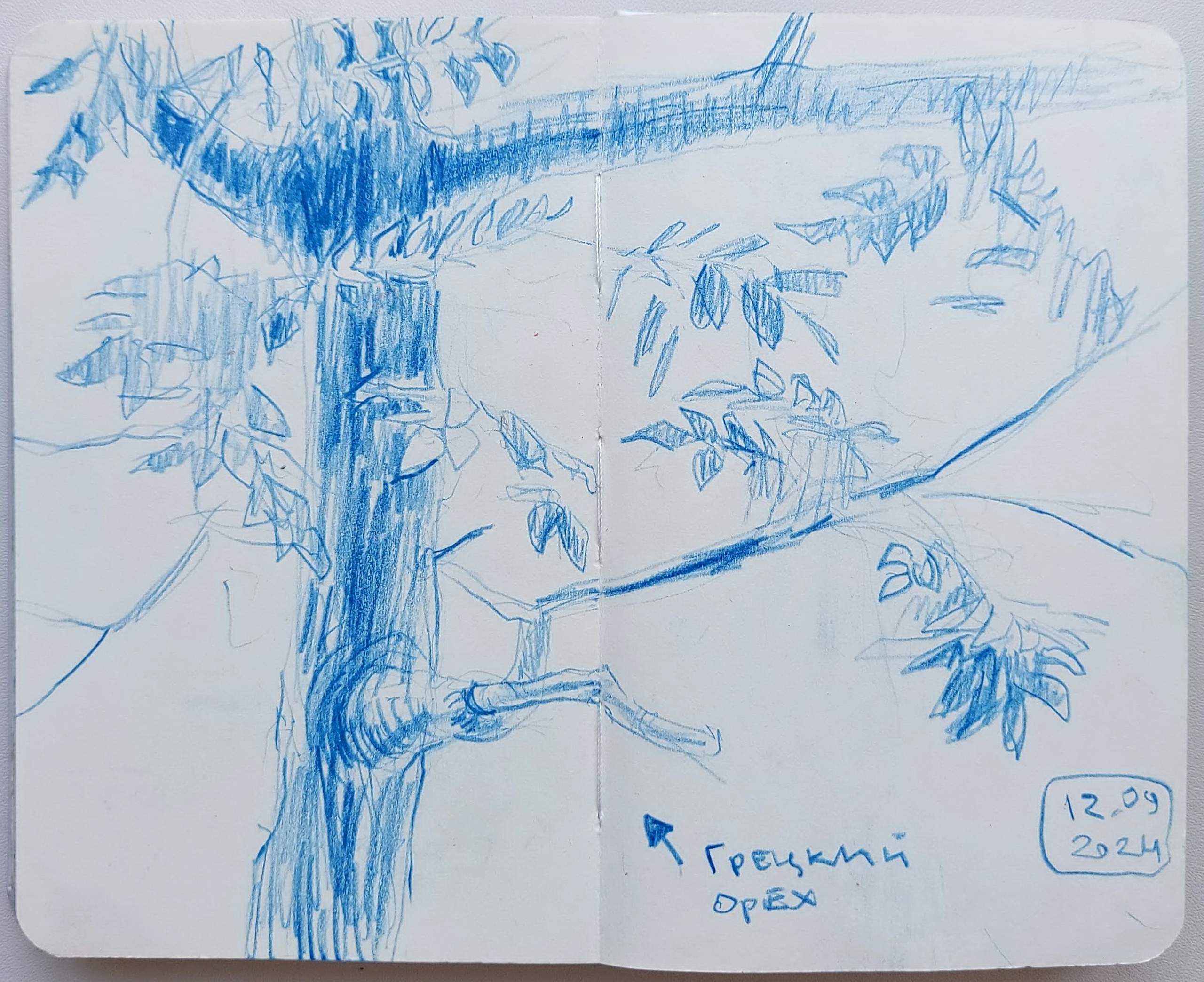 Quick Sketches. Alexander Manaenkov | Watercolor Artist from Siberia