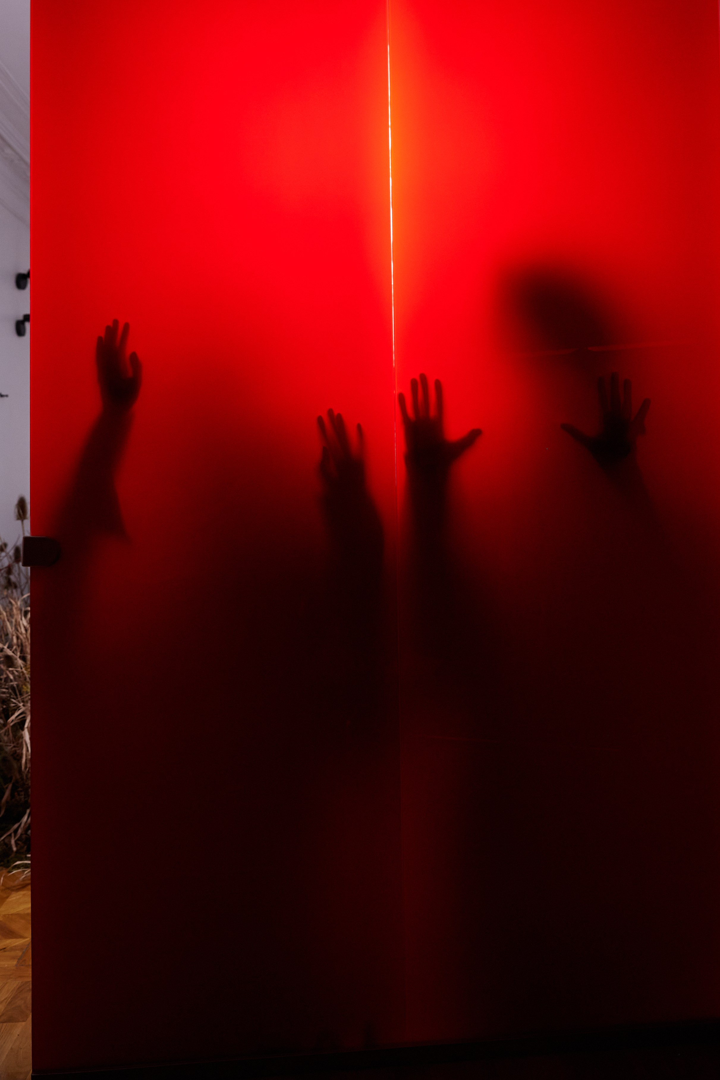 Лера & Вова. Оформление свадеб, декор свадеб Вера Маркова, Москва