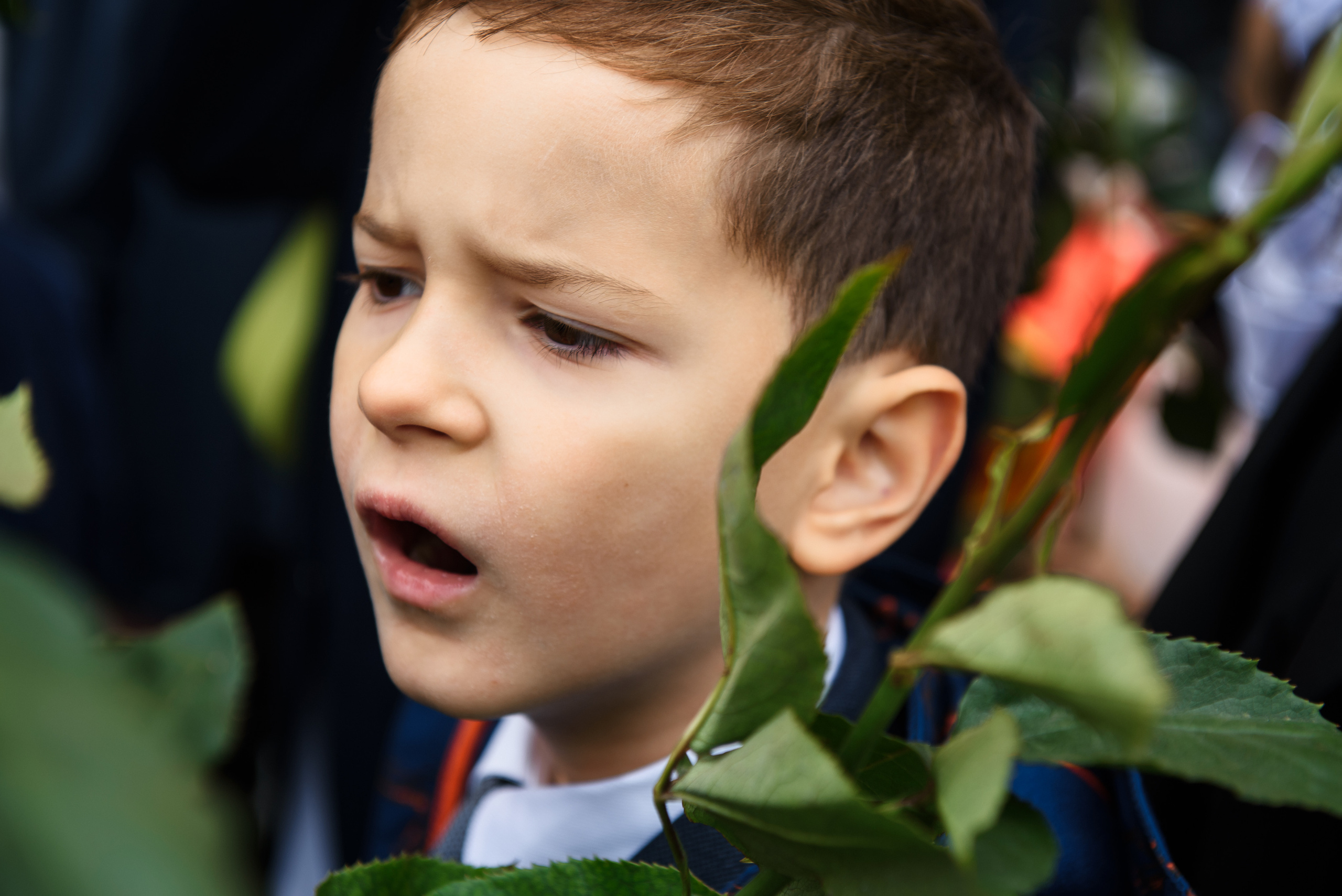 1 сентября 11 класс. Wedding and family photographer USA