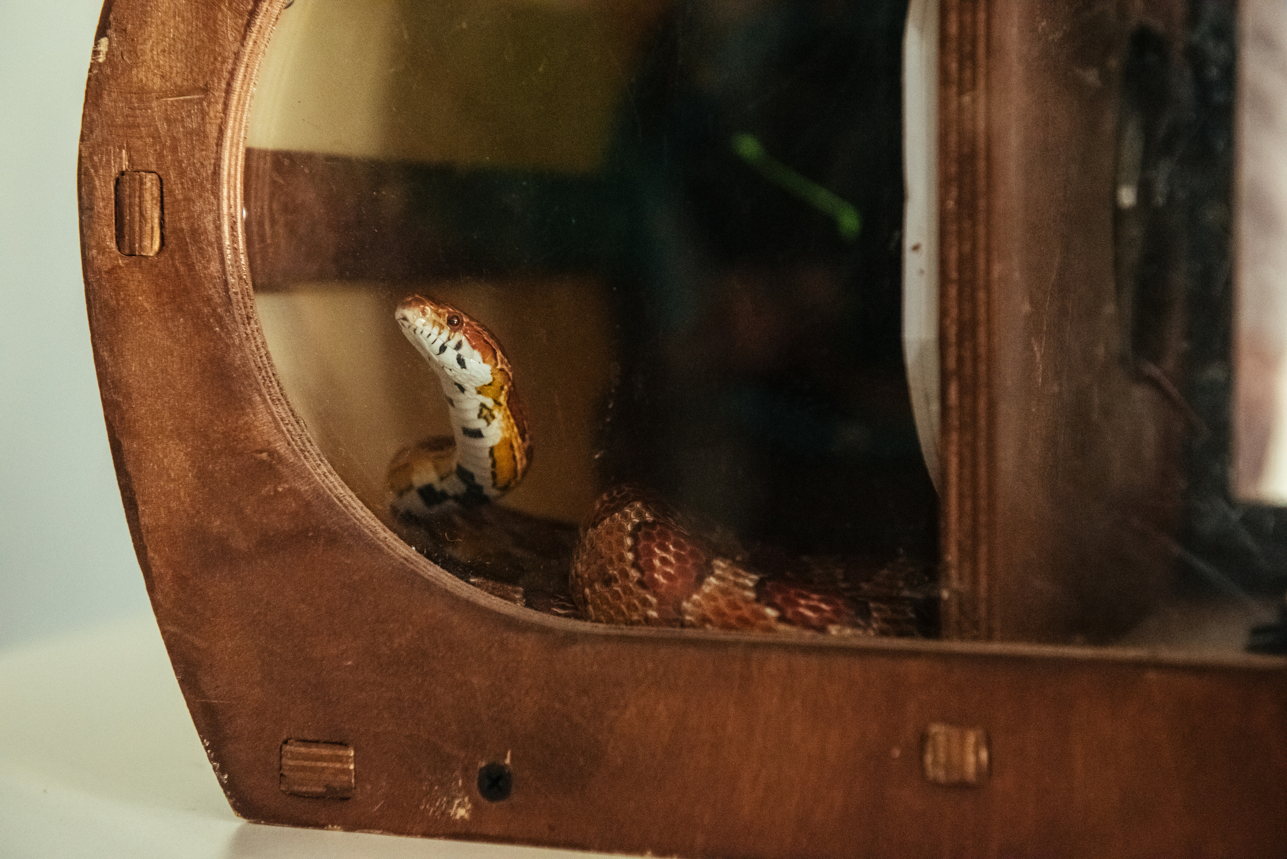 Фотосъемка репортажа с празднования 8 марта в KIA-центре, Челябинск. Свадебный и просто хороший фотограф в Челябинске