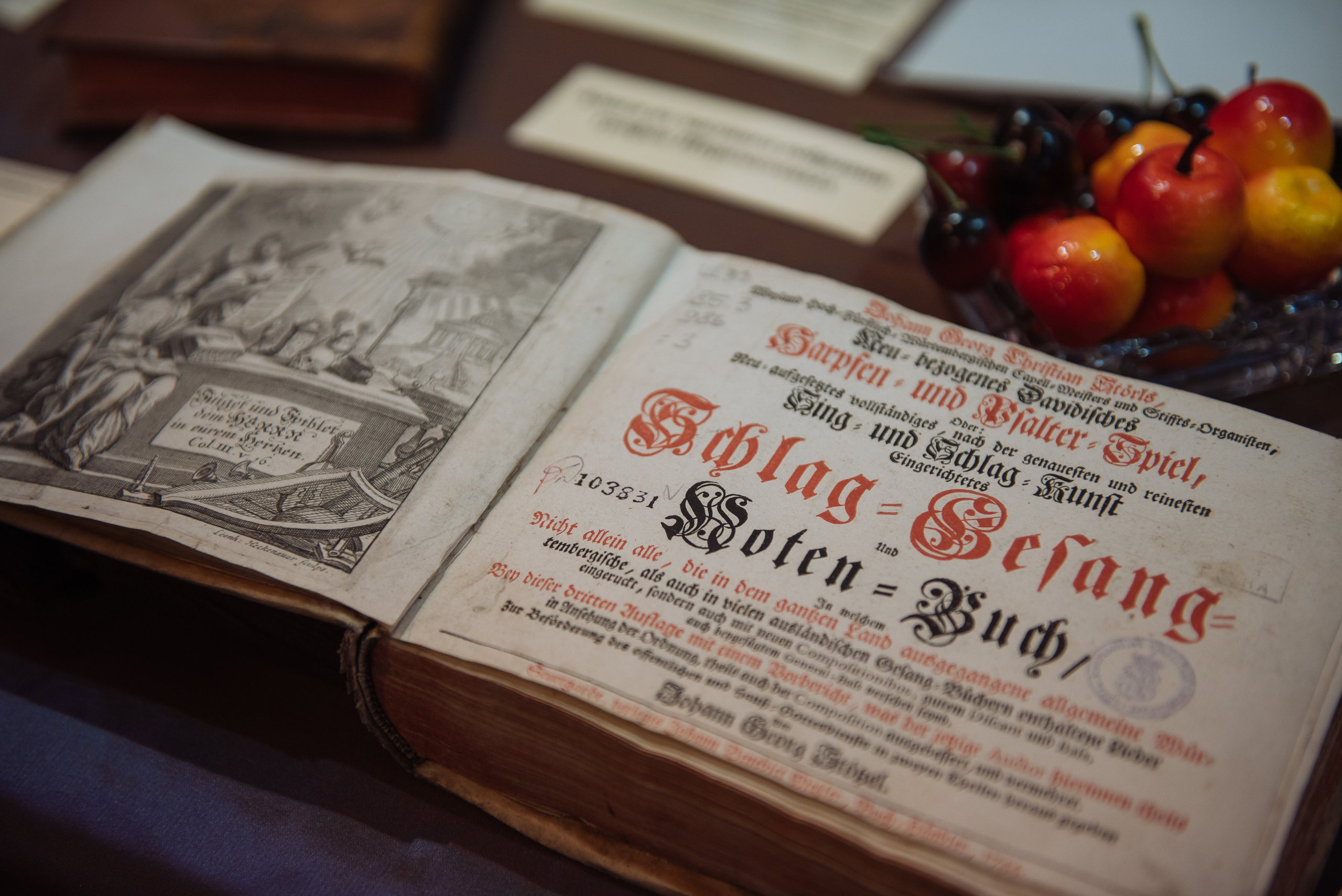 Южноуральская книжная выставка-ярмарка в Союзе Художников, Челябинск. Свадебный и просто хороший фотограф в Челябинске