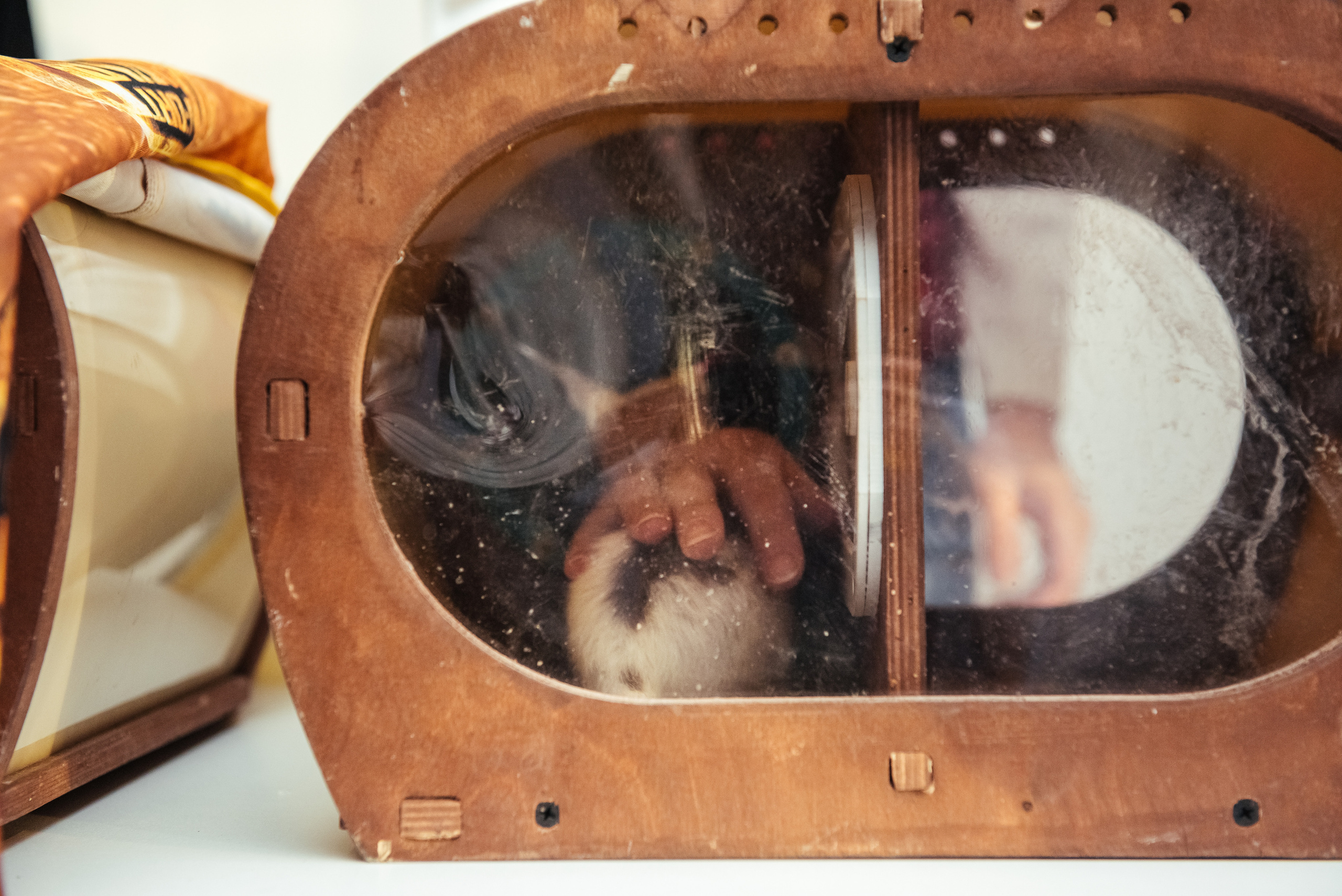 Фотосъемка репортажа с празднования 8 марта в KIA-центре, Челябинск. Свадебный и просто хороший фотограф в Челябинске