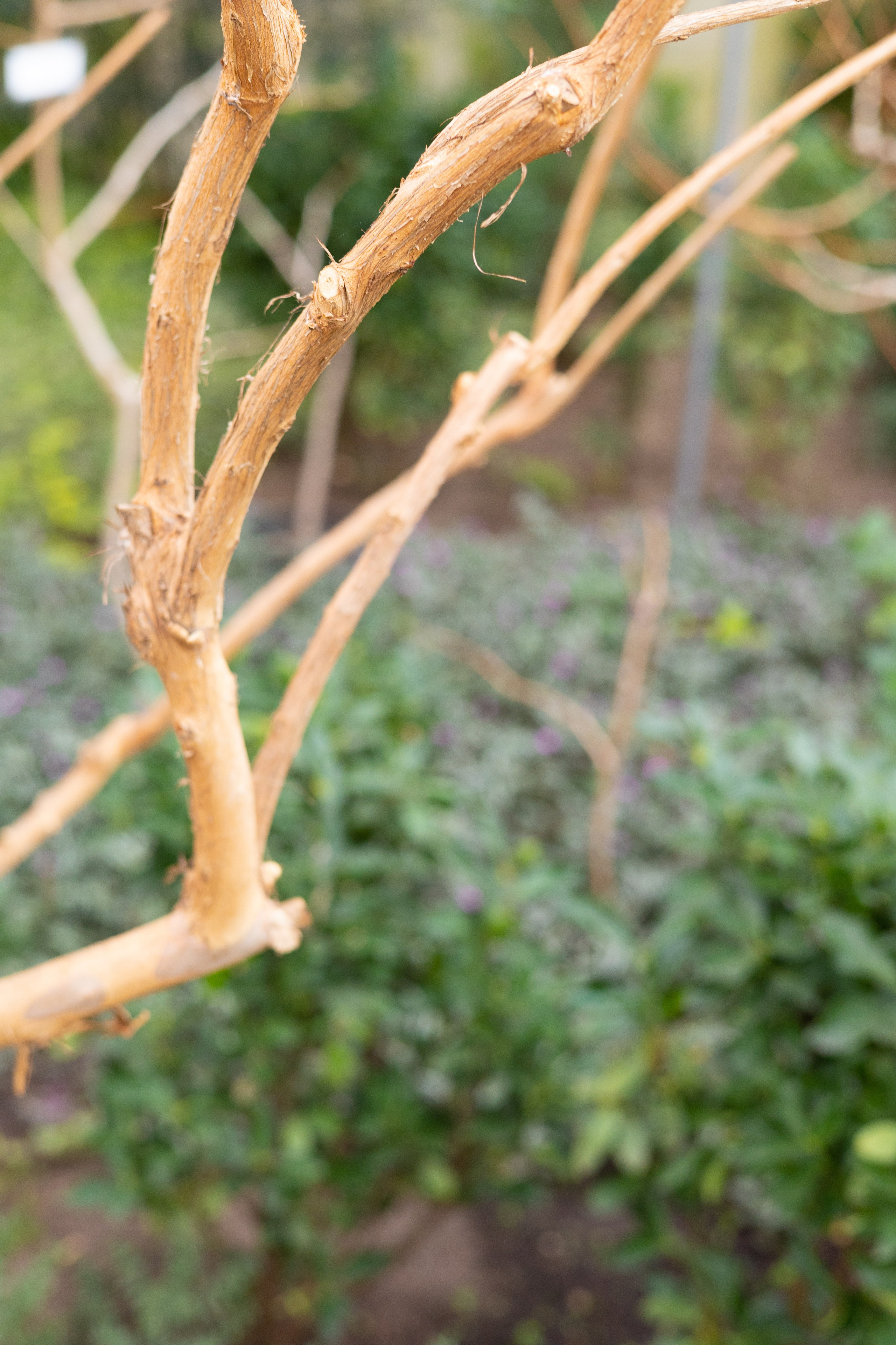 Secret Garden. ITMAG.ME | Visual Art