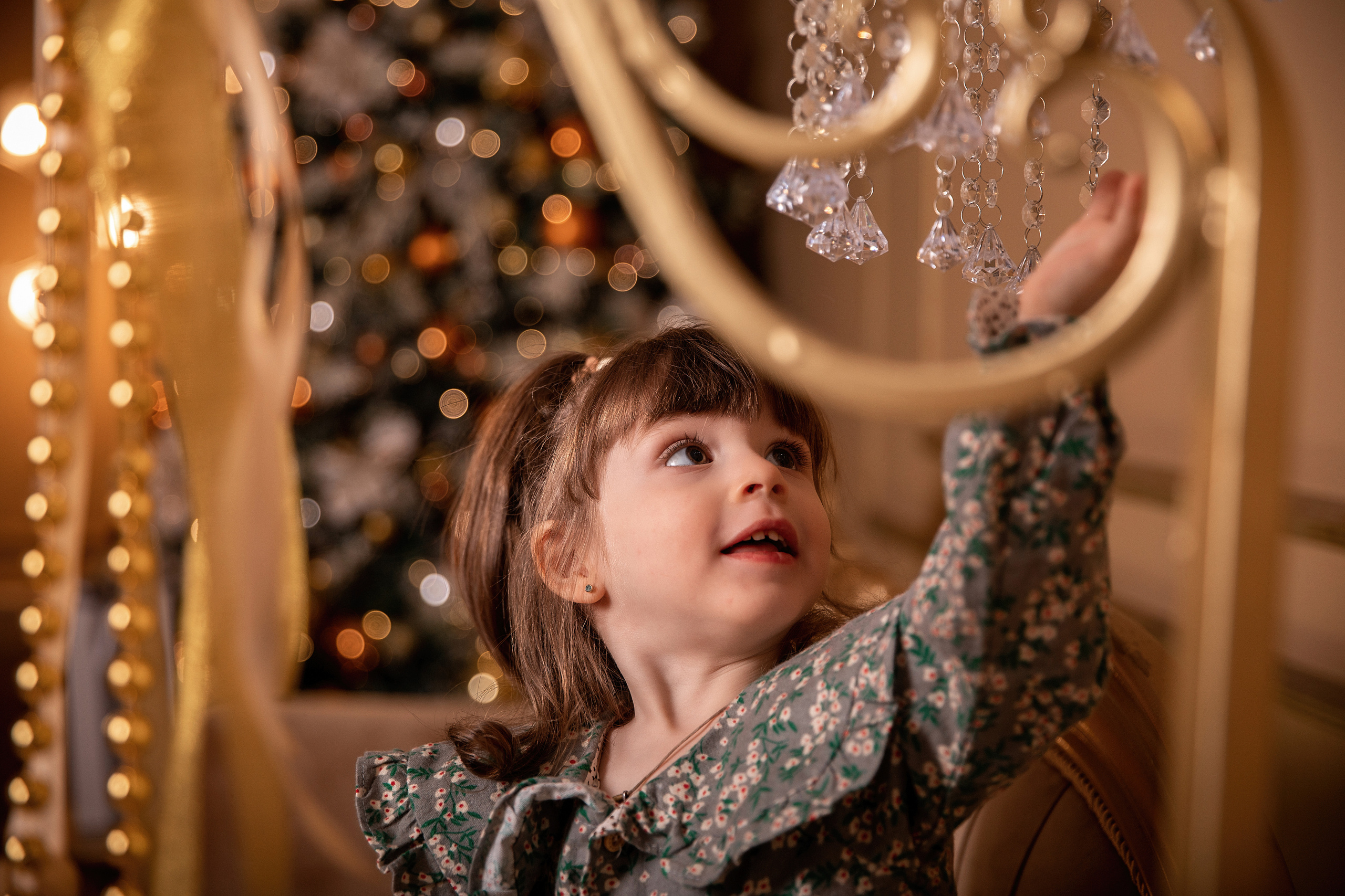 Семейная новогодняя фотосессия в студии. Фотограф во Владикавказе Юрий Геворгизов