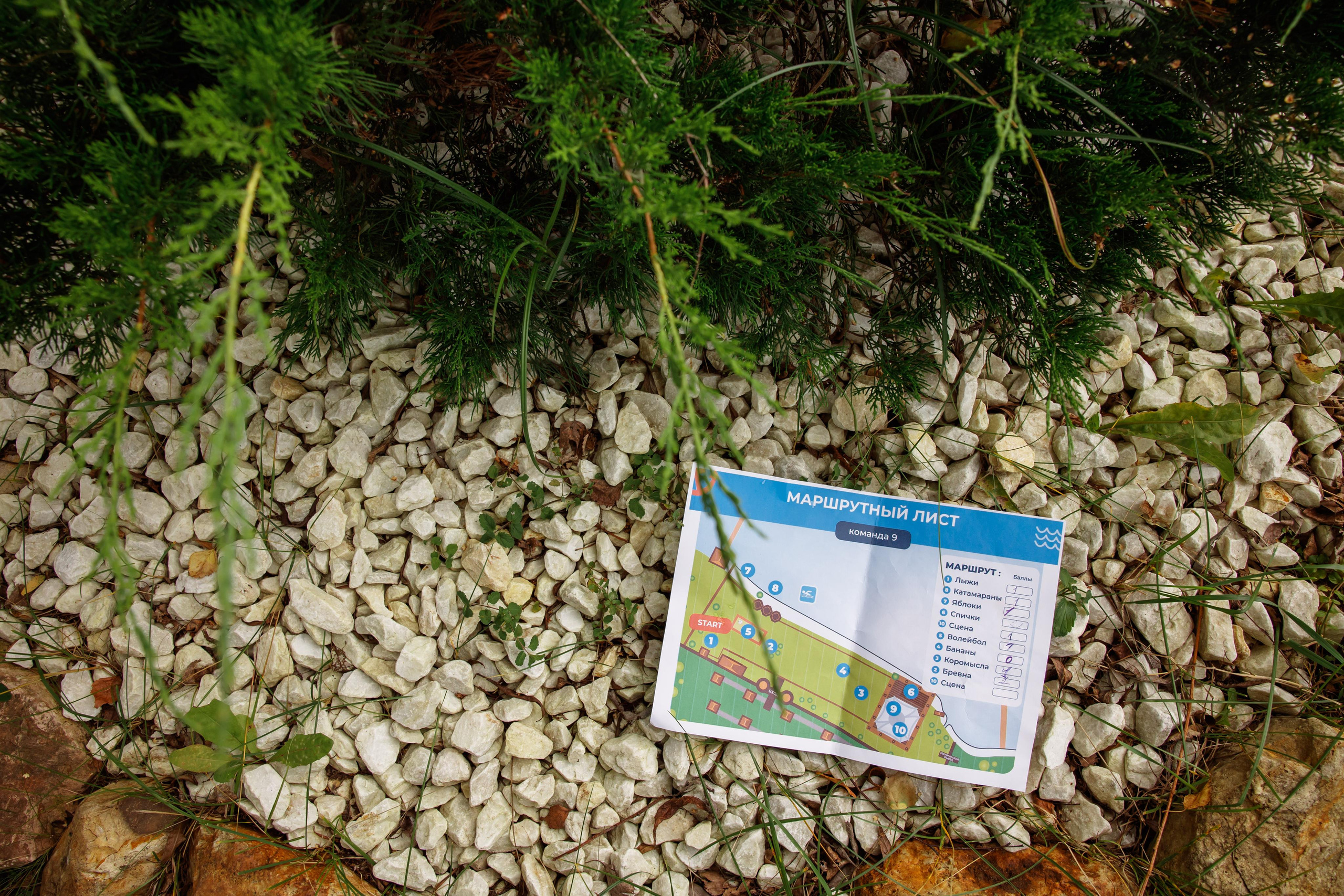 Фотограф на мероприятие, корпоративная фотосъемка, корпоратив. Свадебный и репортажный фотограф (Москва, Королев и другие)