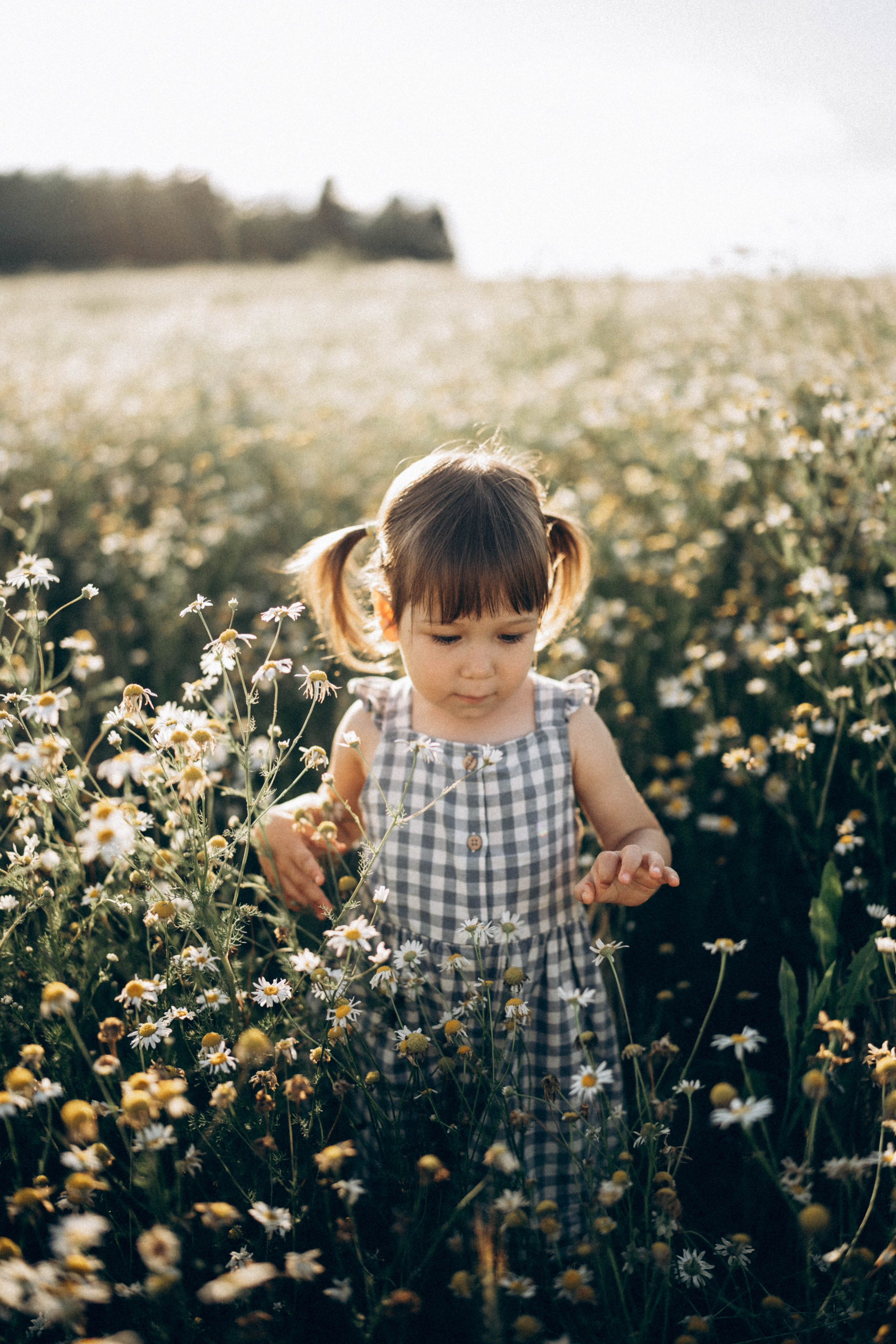 Семья ♥. Свадебный и семейный фотограф в Перми Дарья Алекс