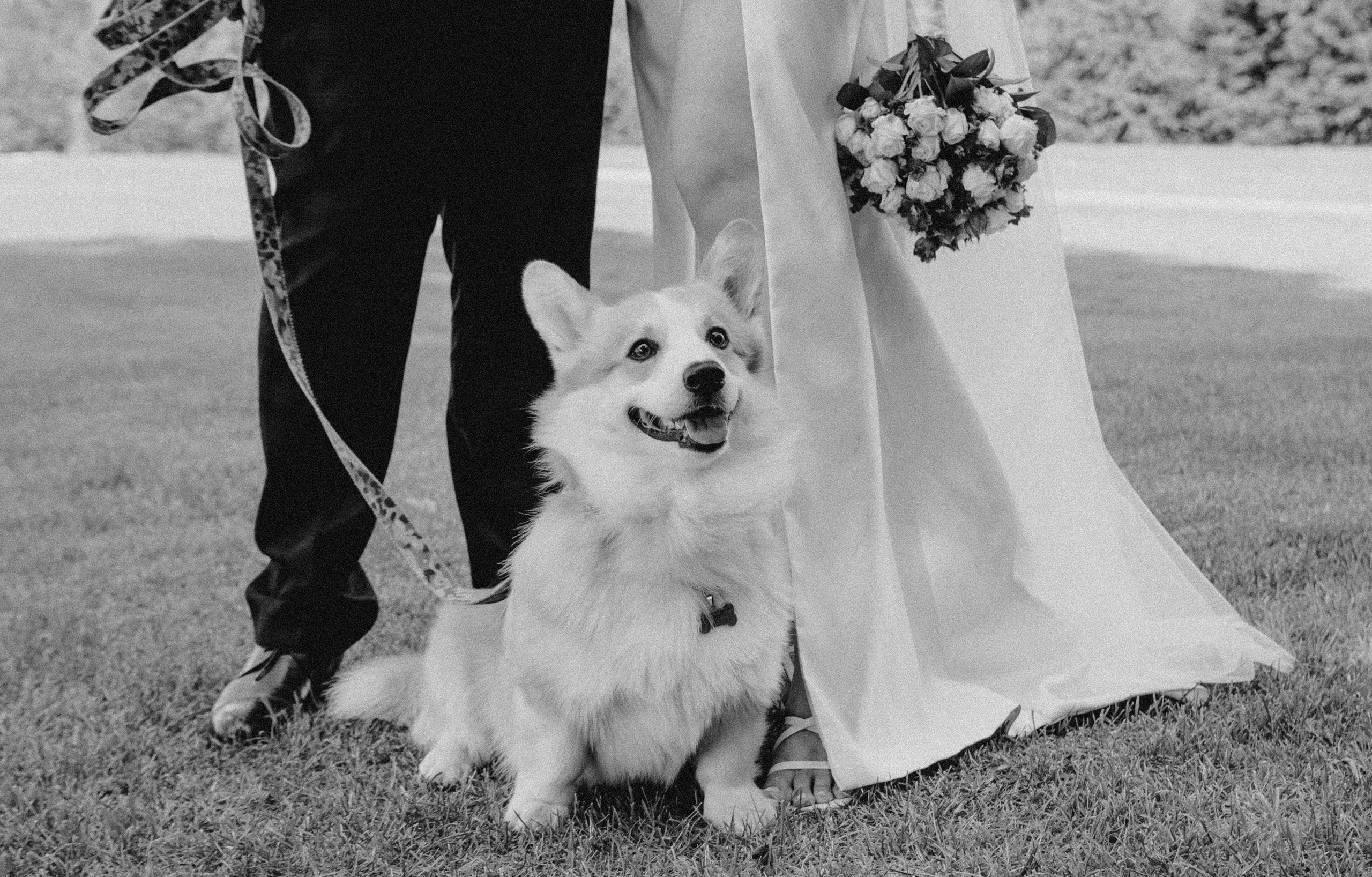 Свадебная съемка. Свадебный и семейный фотограф Даша Петрова в Москве и Подмосковье