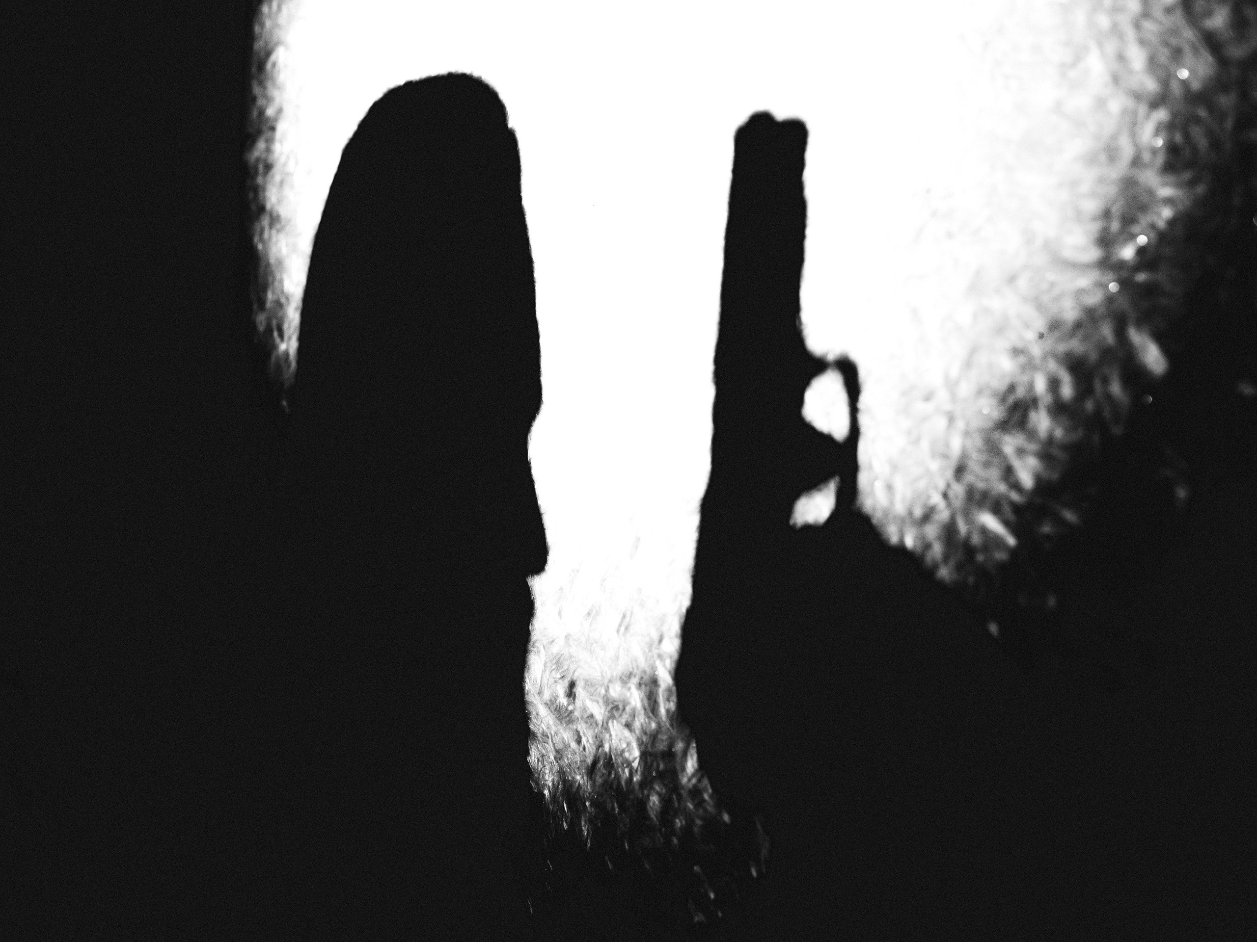 Strange man. Saamill