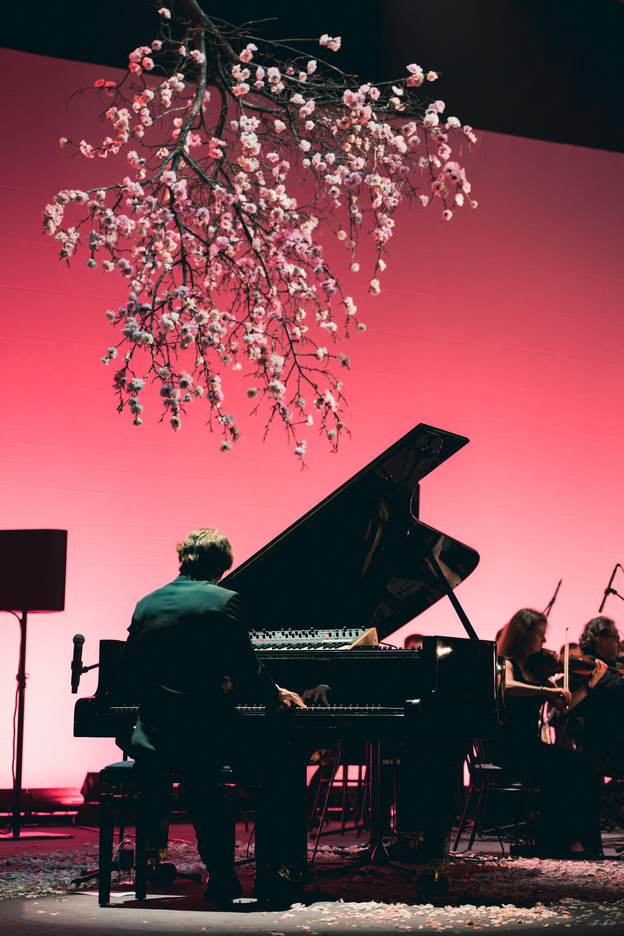 Никола Мельников / 2024. OOPS