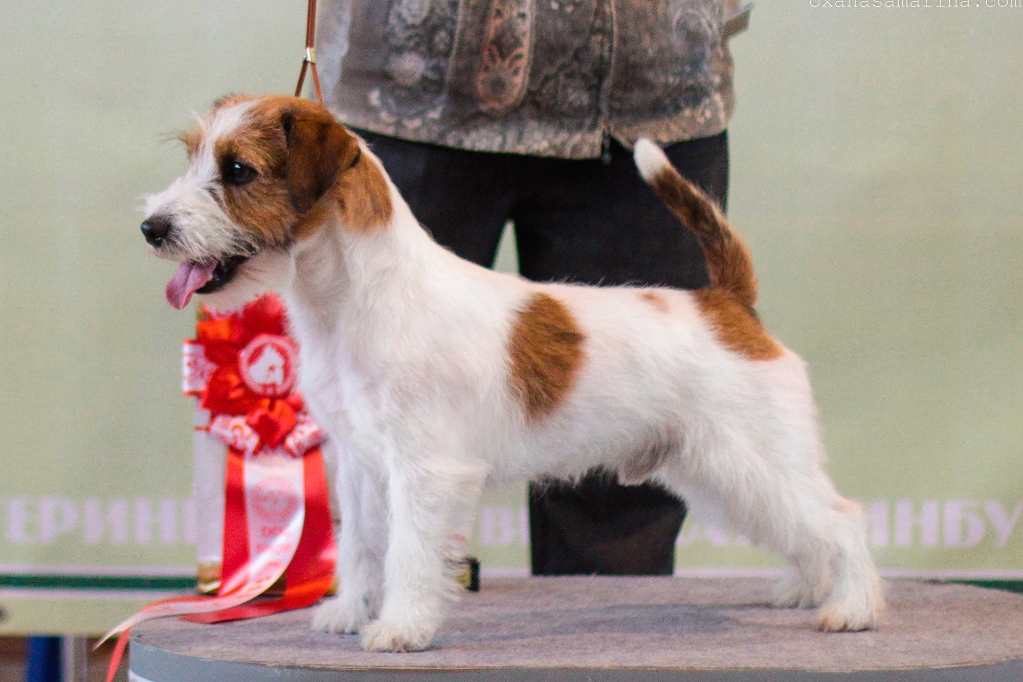 Port Fortis Rock-N-Roll