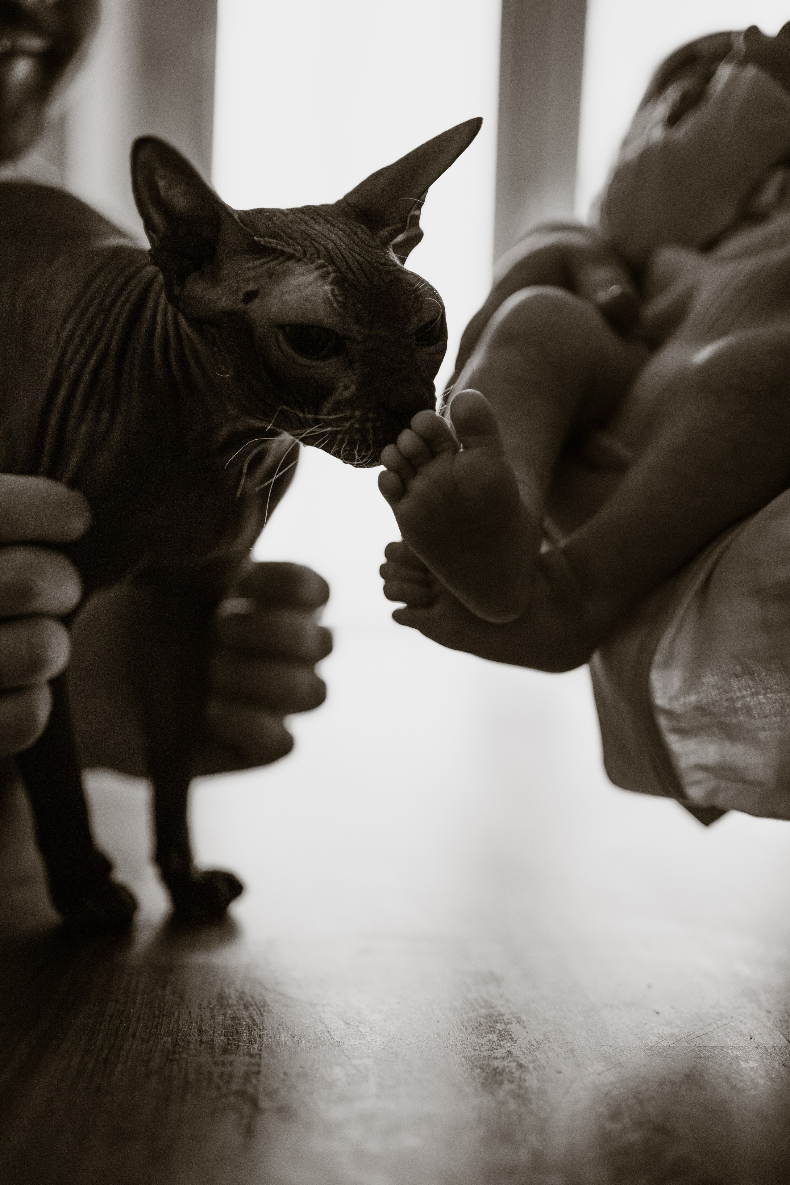 Настя, Максим и Амелия. Фотограф в Минске — Мария Миллс