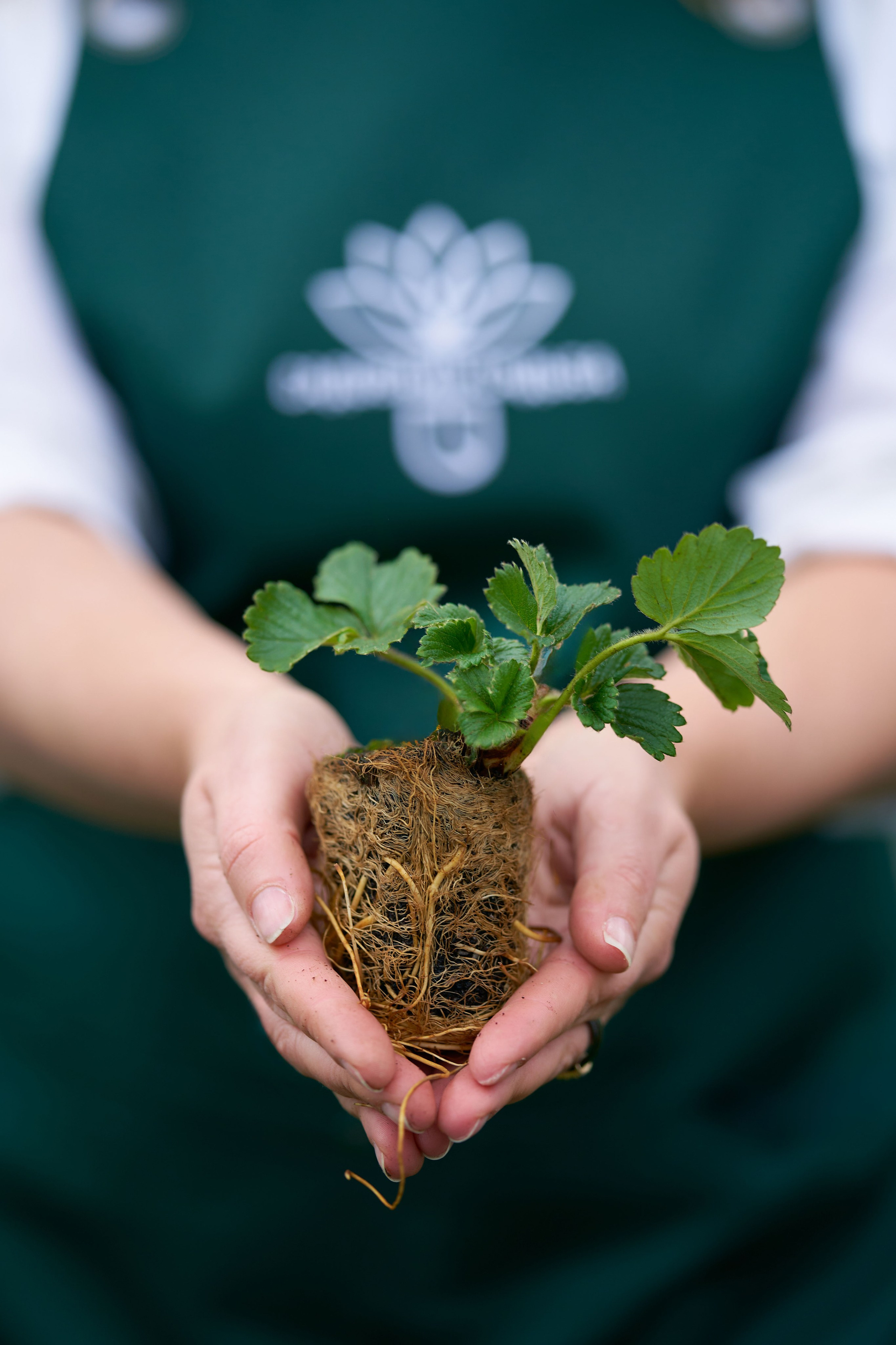 Ольга. Сергей Горшенин — профессиональный фотограф