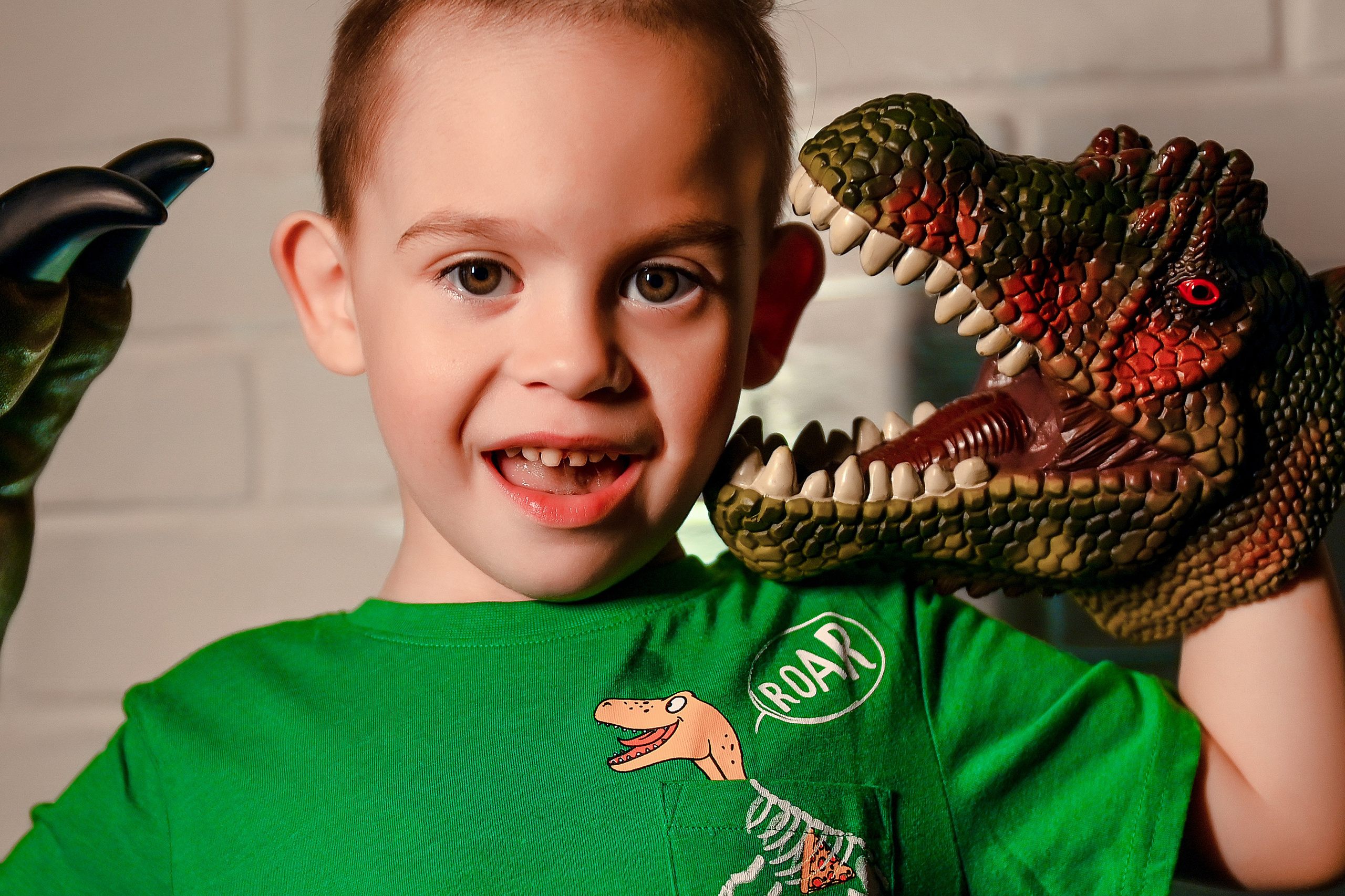 Детская с Динозаврами на 5 лет. Свадебный, семейный, детский, контент фотограф в Омске Максим Ильин