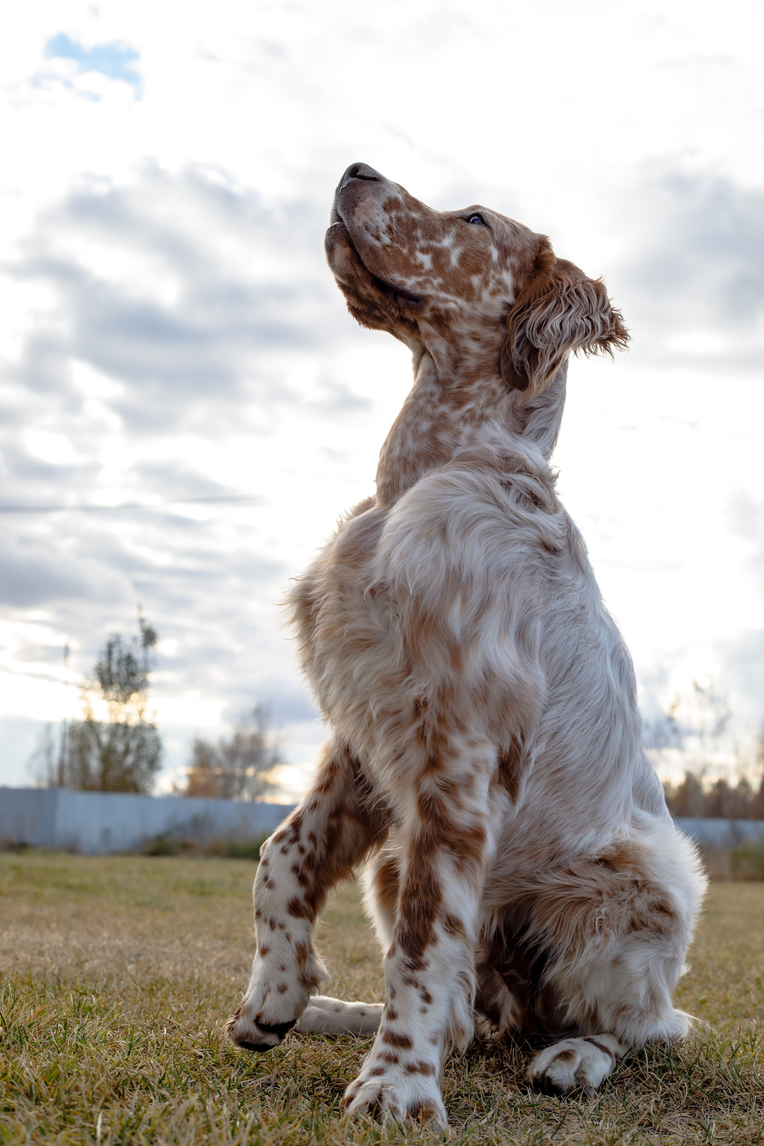 Андрей и Милан. Фотограф Екатерина Козловская