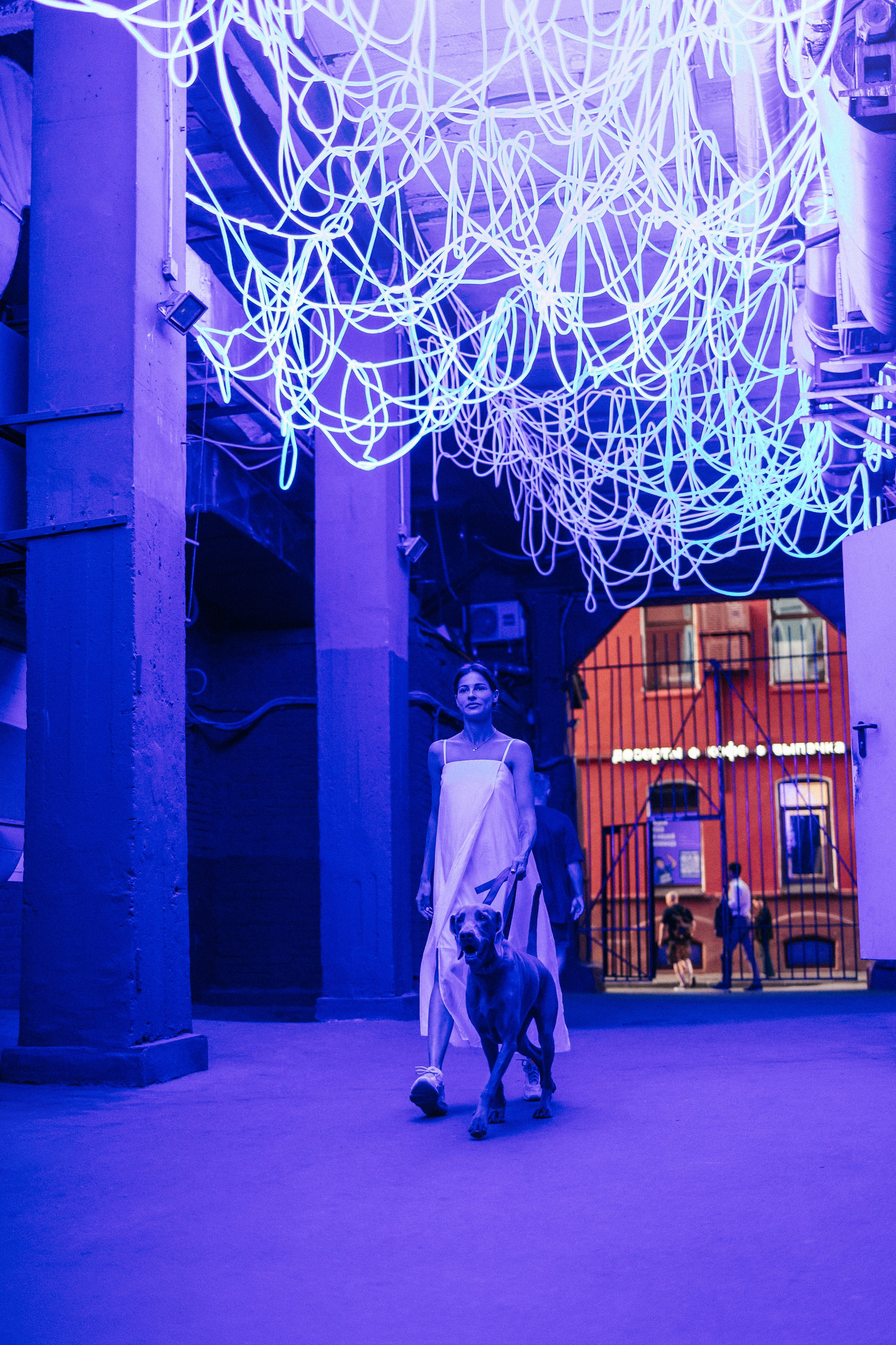 Соня и Майли. Фотограф-анималист Елена Радченко, Москва