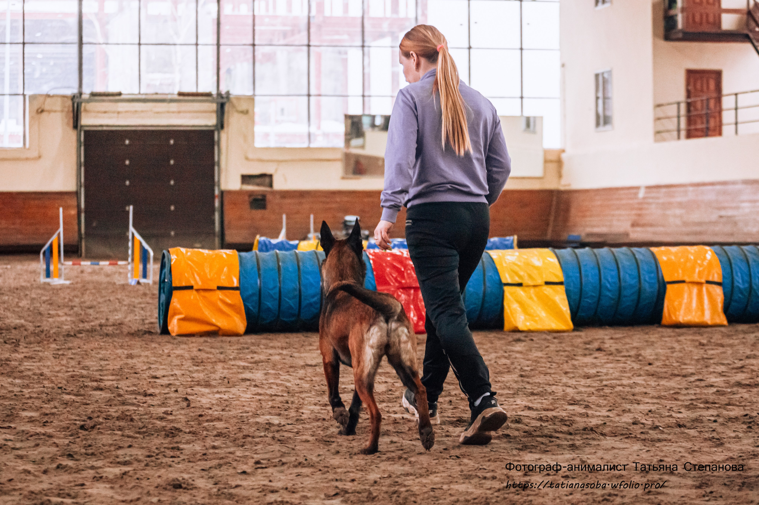 Соревнования по Аджилити 25.02.2024. Фотограф-анималист Татьяна Степанова