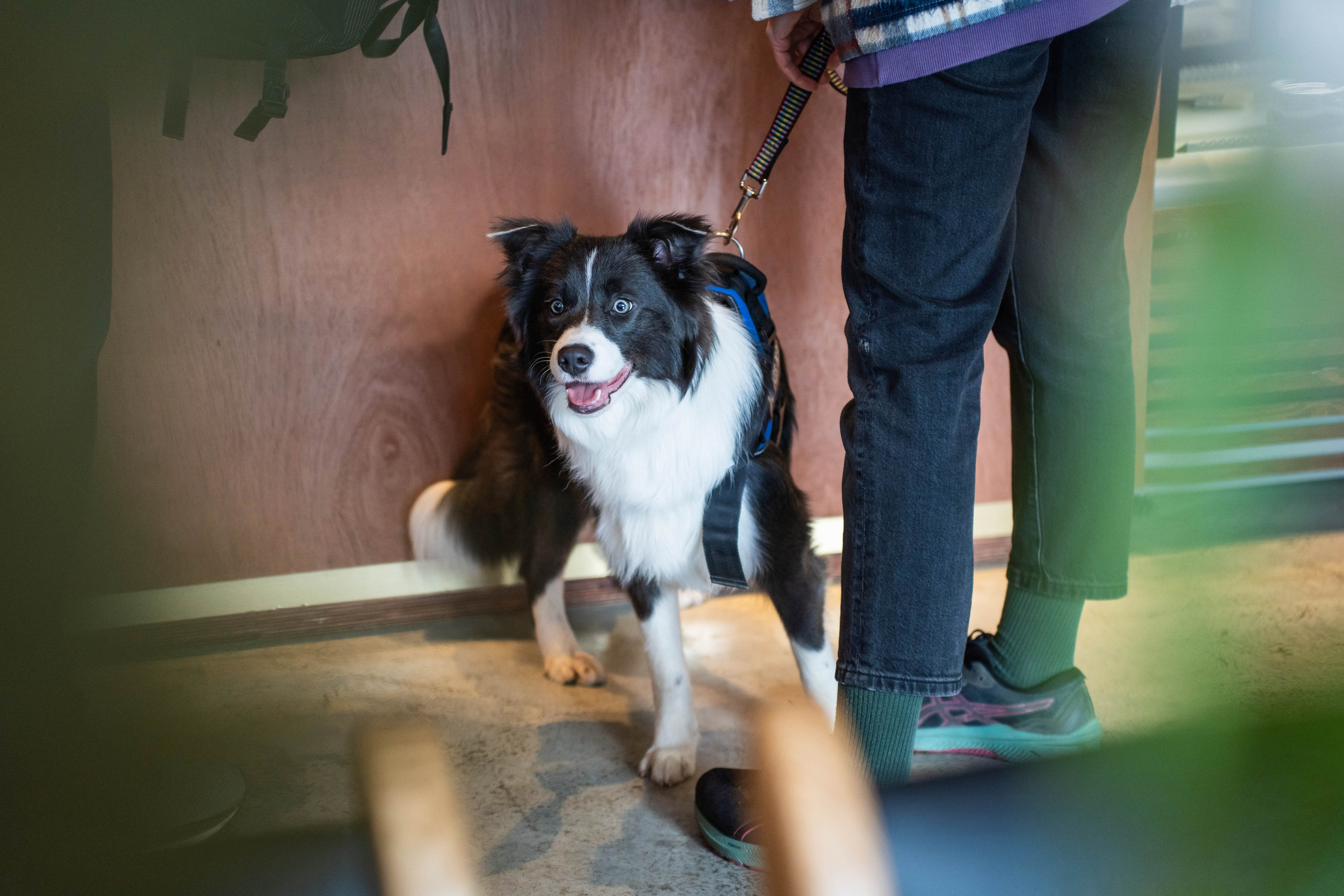 SURF COFFEE| DAY. Фотограф Абакумова Анастасия
