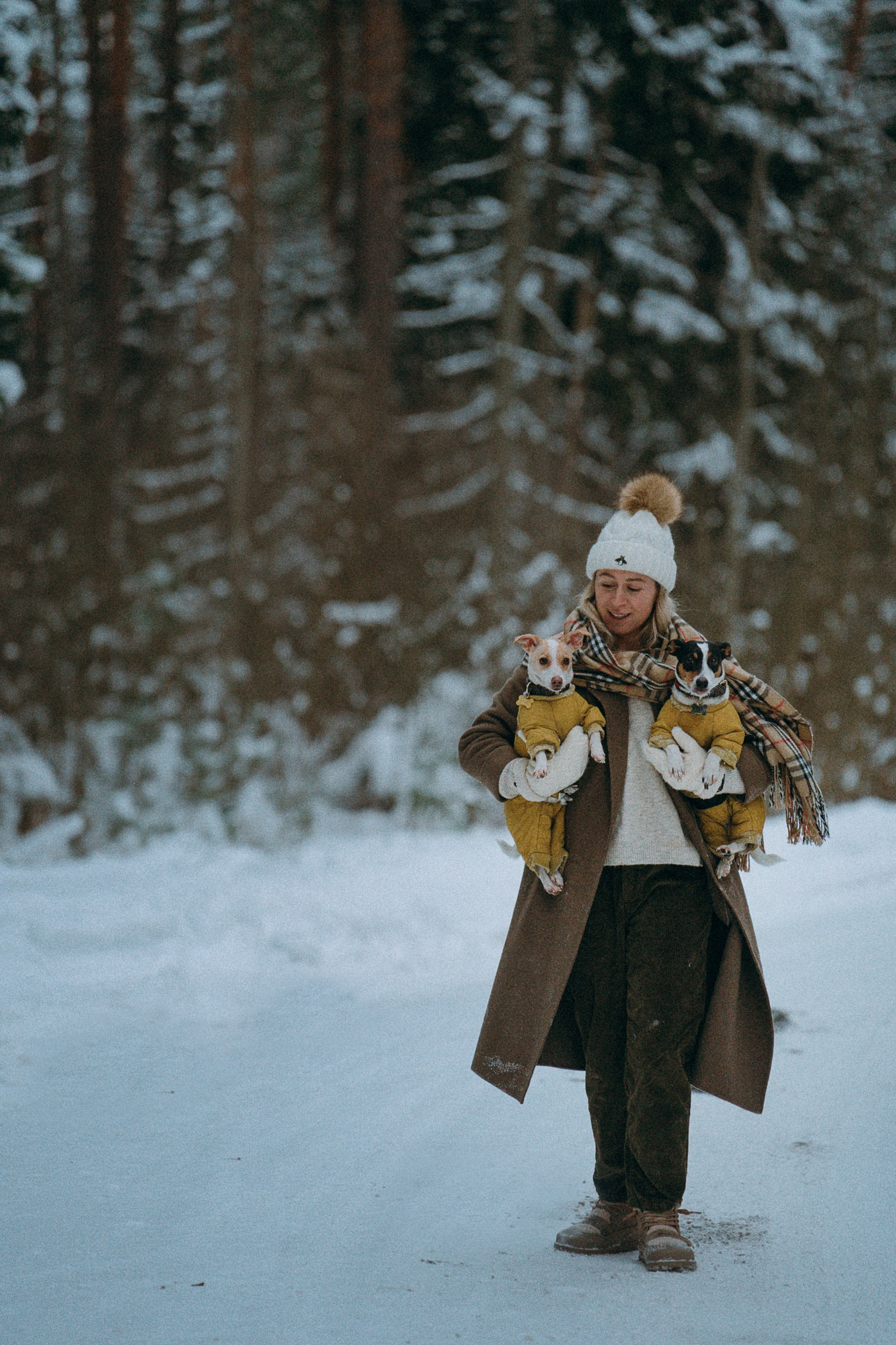 Алина, Ваниль и Элис. Фотограф анималист в Москве и Санкт-Петербурге Свиридова Анна