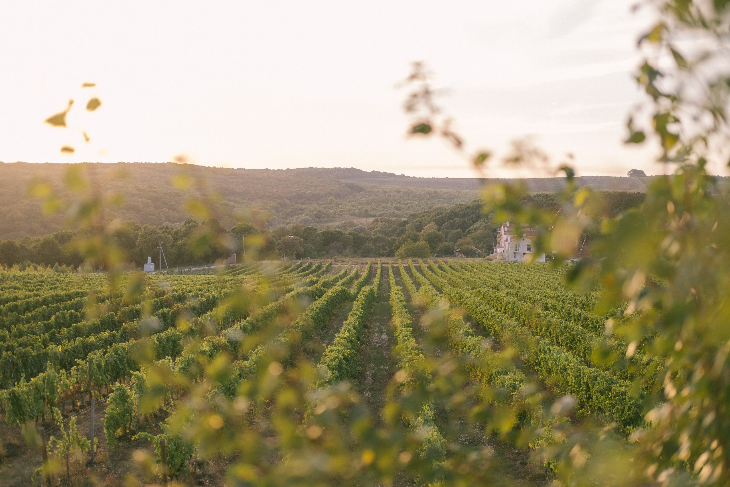 Италия|Катя&Женя. Photographer Cyprus