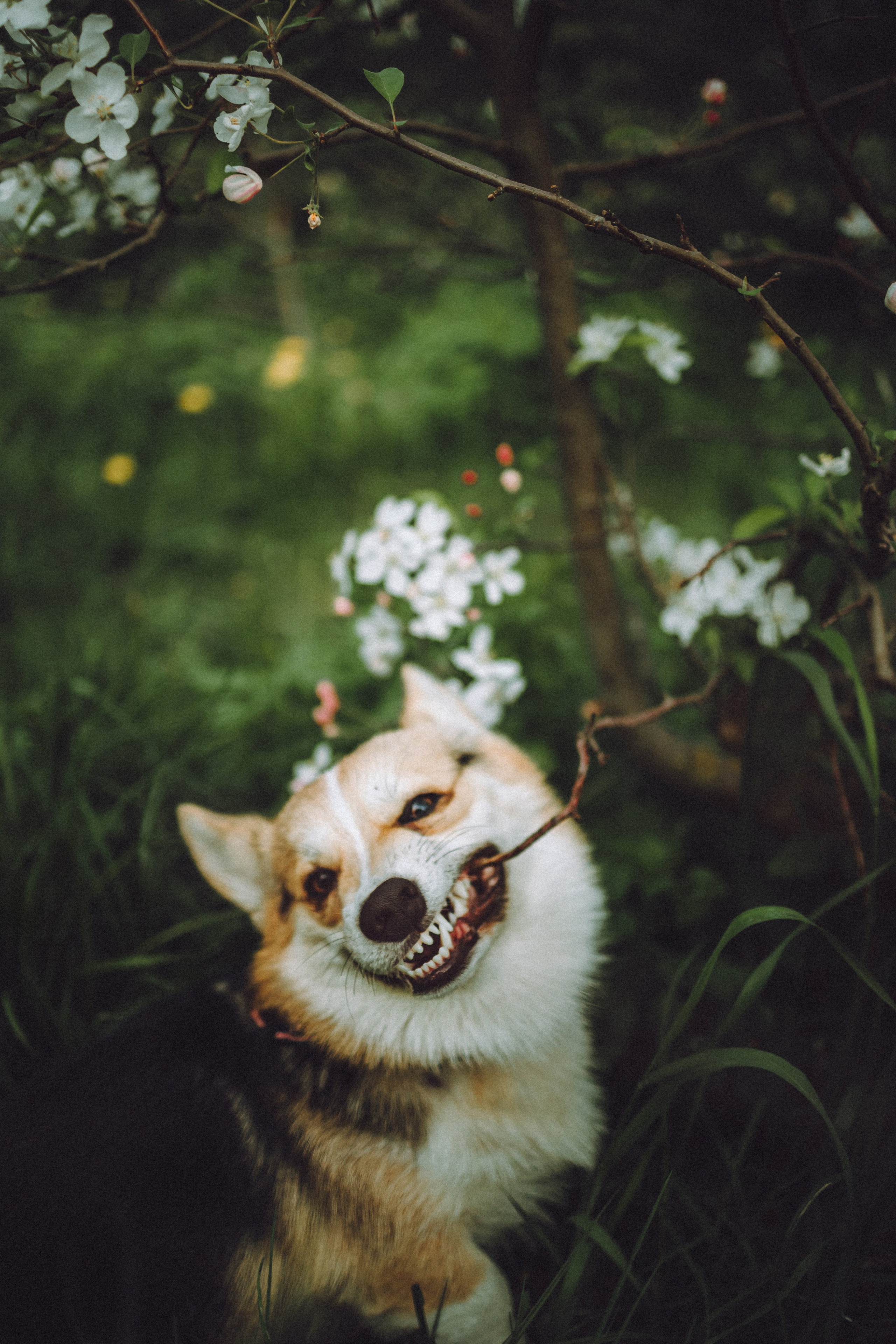 Илай, Зайка и их семья