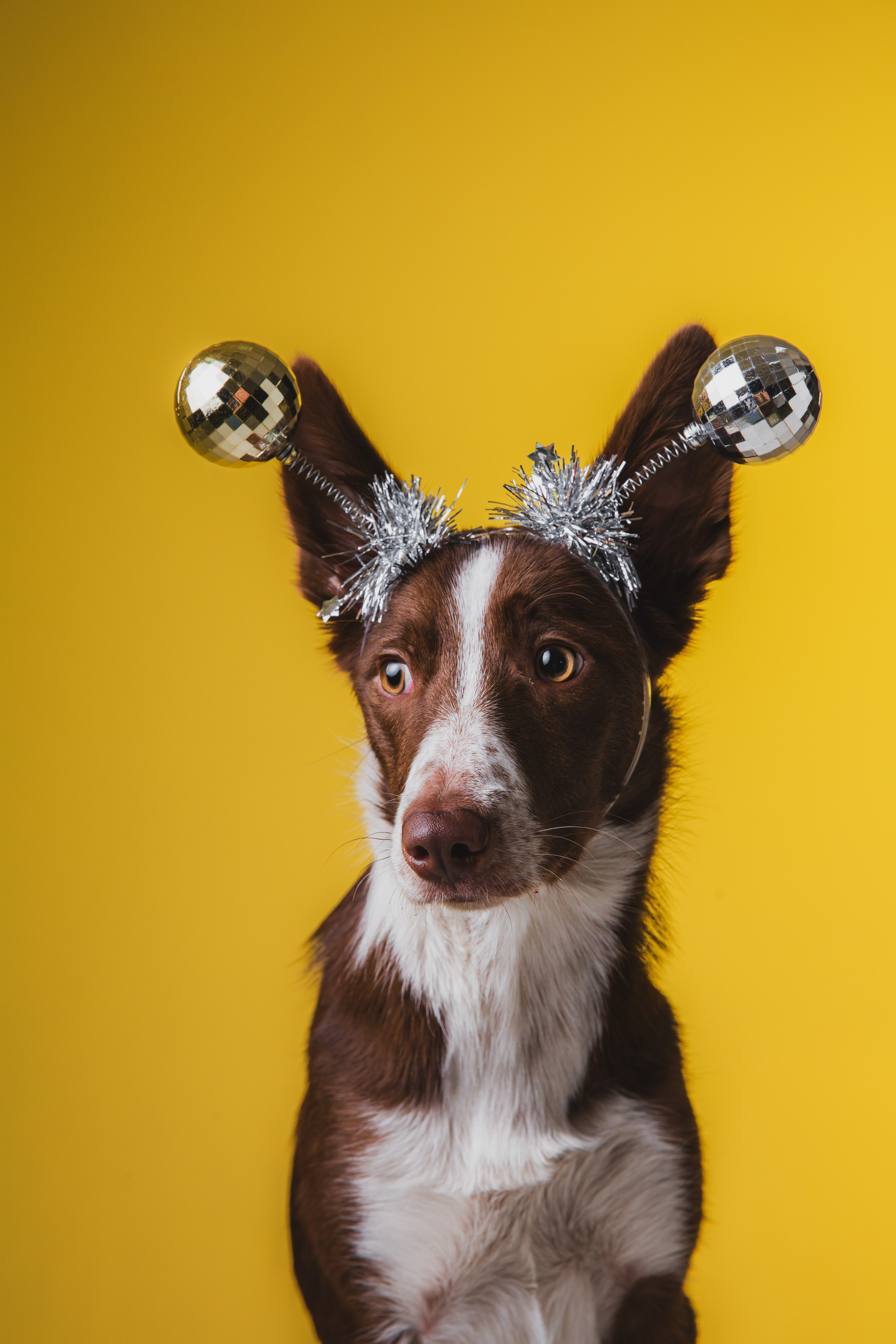 Воркшоп по импульсному свету