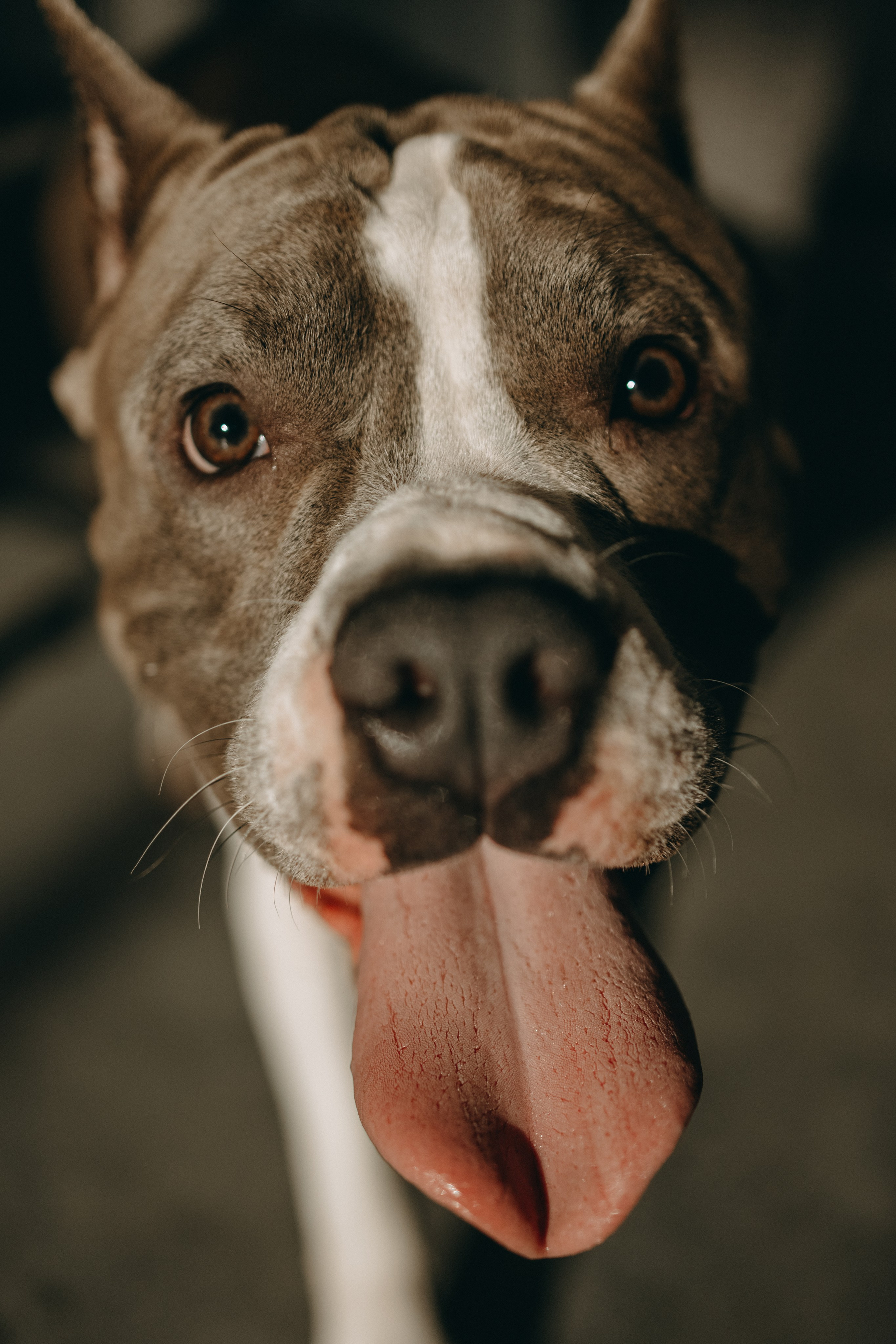 Саша и Кракен. Фотограф — Анималист | Санкт-Петербург