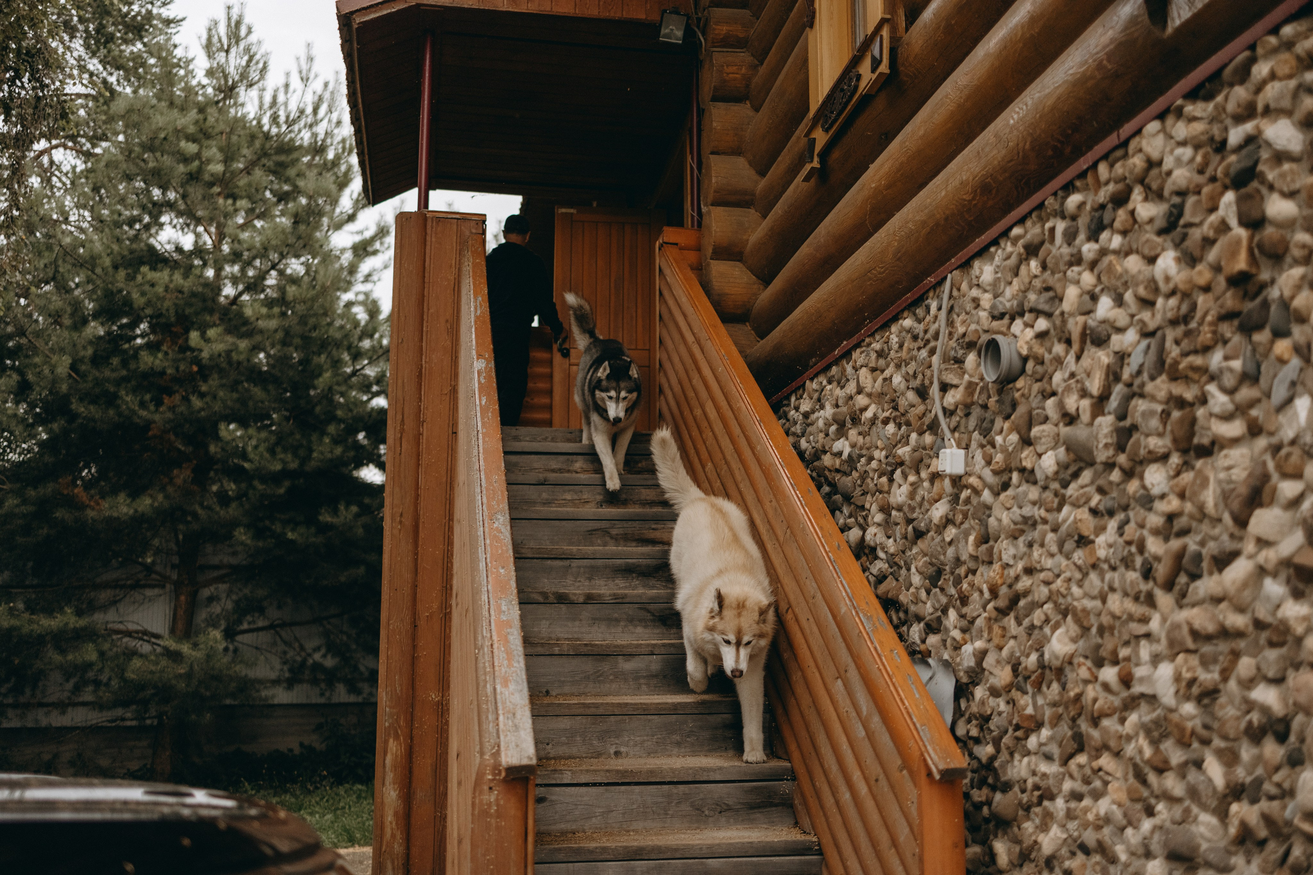 Дом у реки. Фотограф — Анималист | Санкт-Петербург