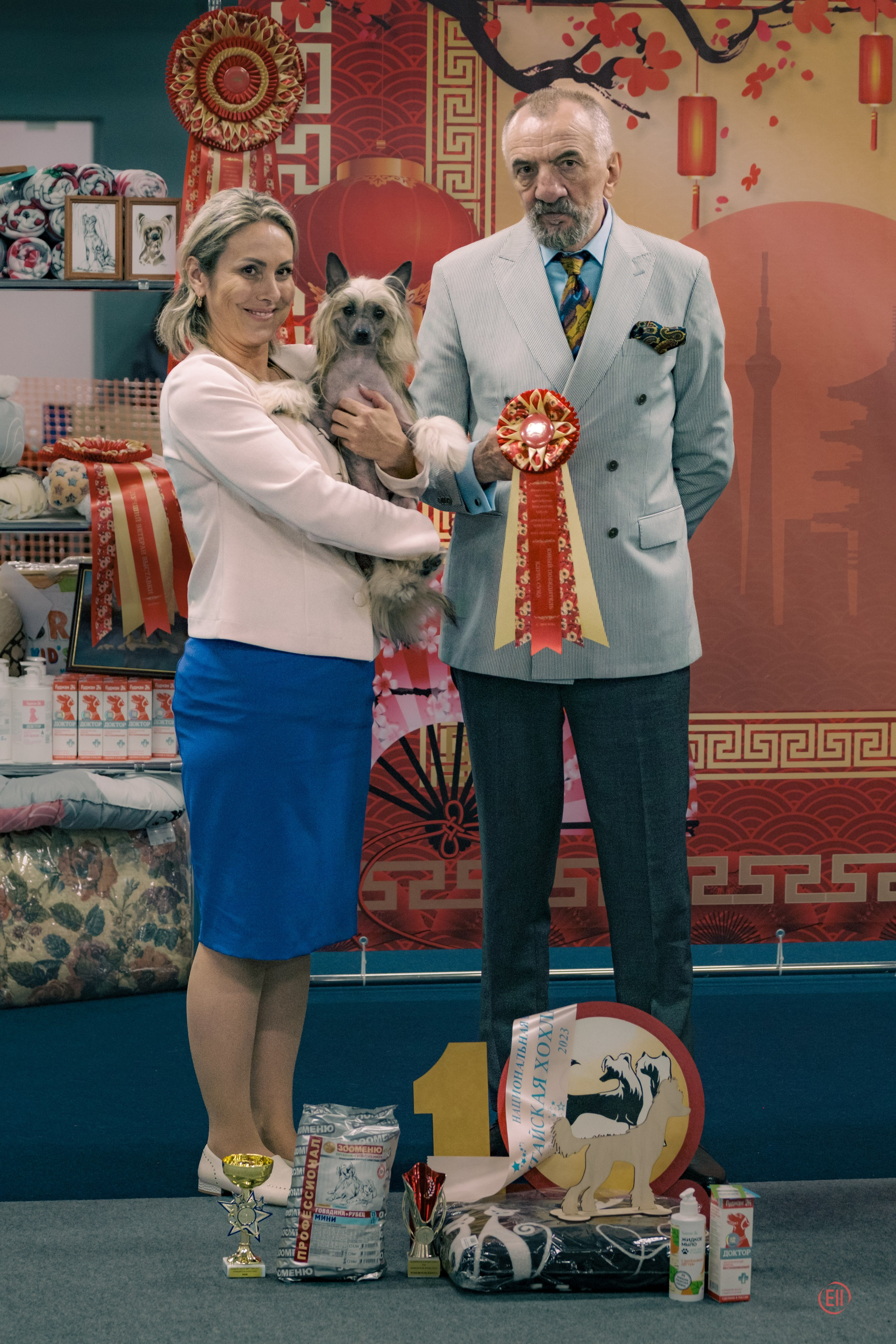 Национальная выставка китайских хохлатых собак 2023. Питомник китайских хохлатых собак Poale Ell: купить щенка