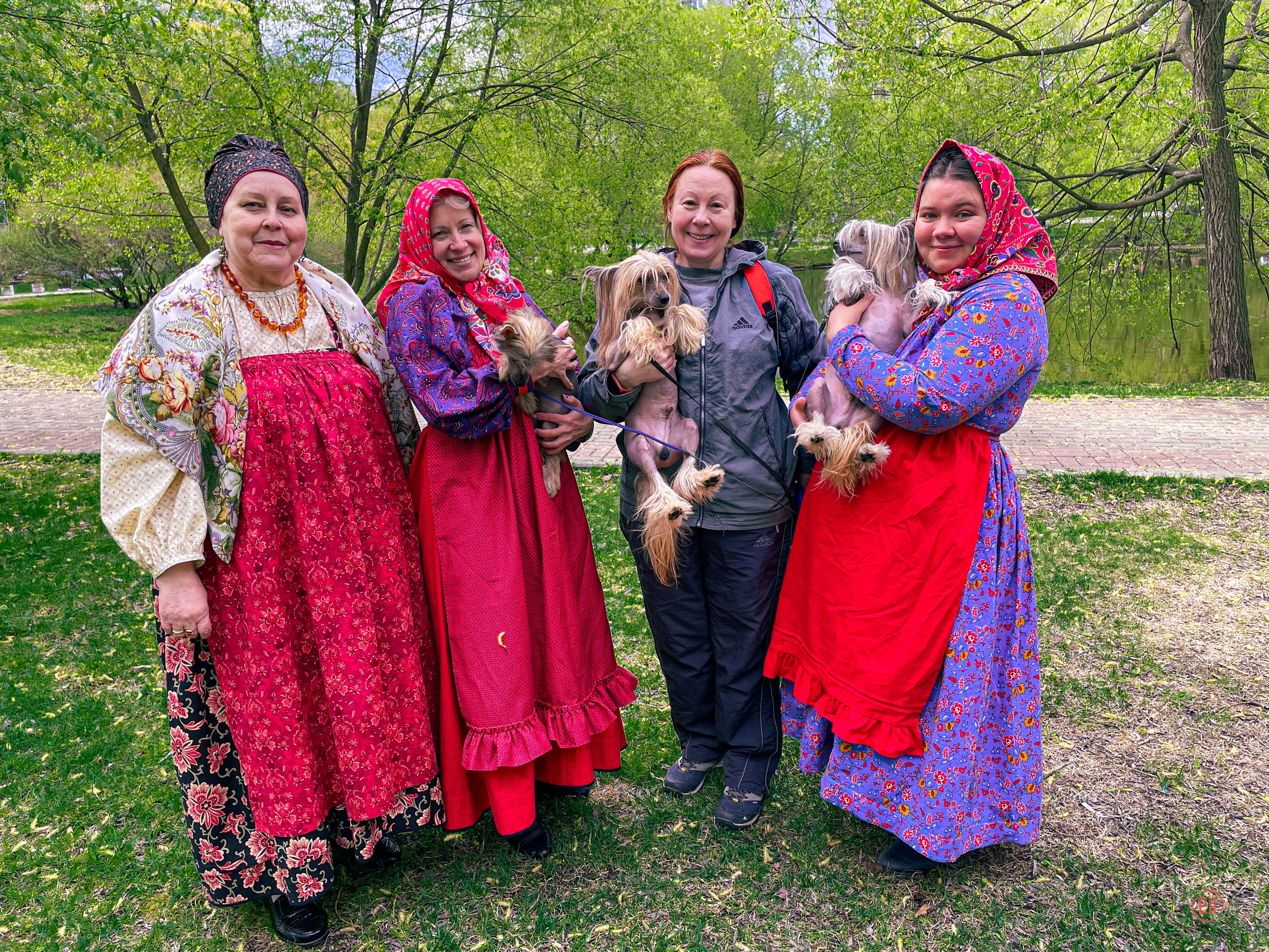 We were stopped on our walk!. Poale Ell Chinese Crested Dog Kennel: Buy a puppy from the kennel