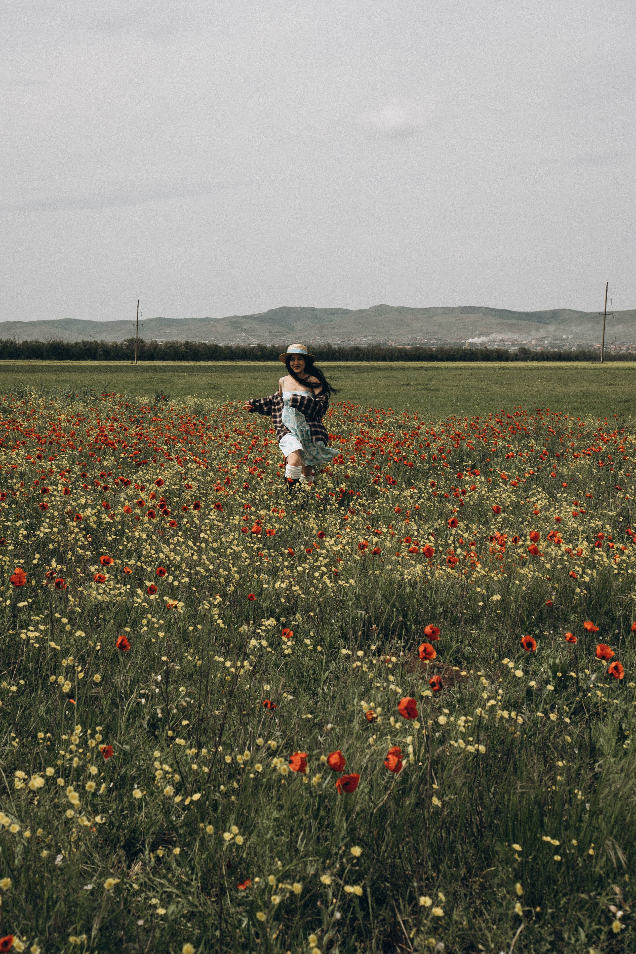 Цветочная поляна. Профессиональный фотограф, Санкт-Петербург — Виктория Богомолова