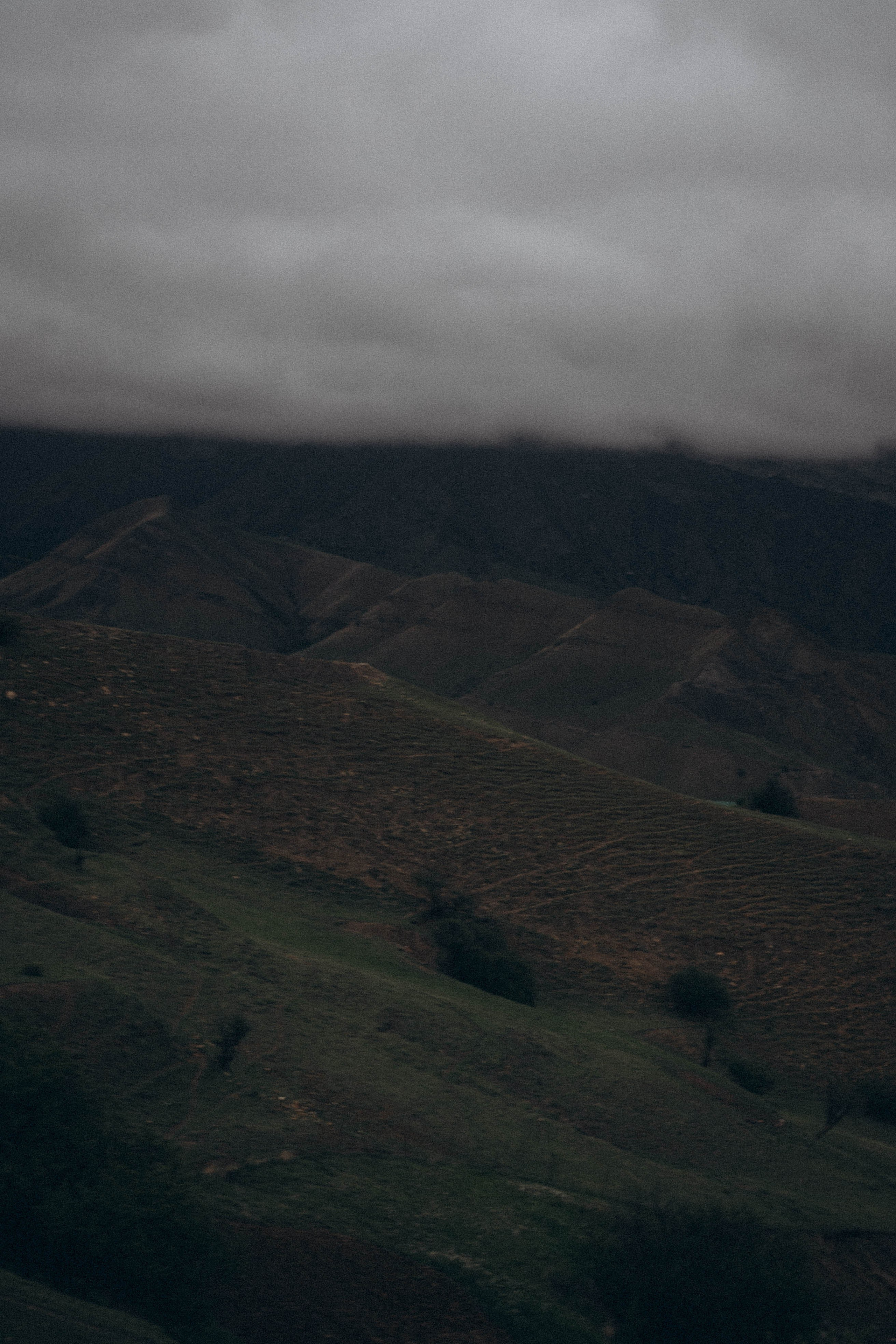 Кавказ. Профессиональный фотограф, Санкт-Петербург — Виктория Богомолова