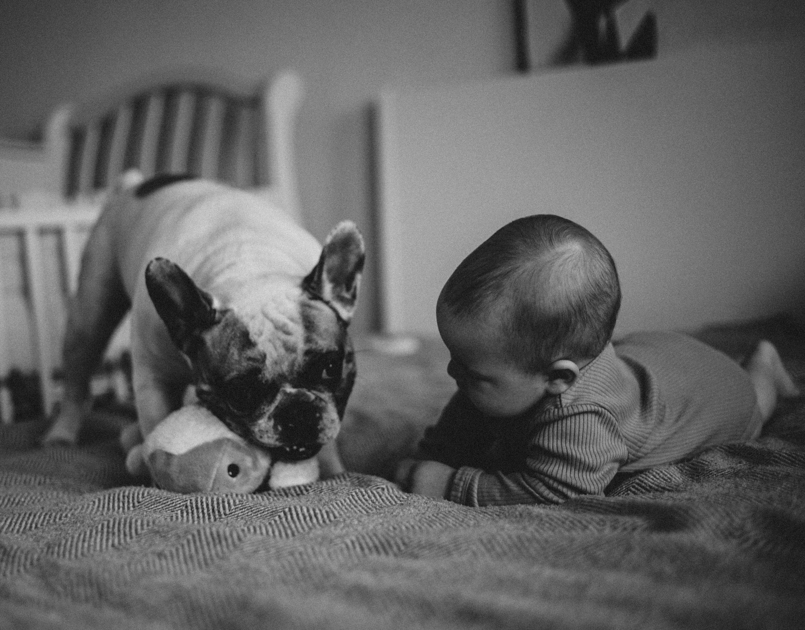 Про маленького Сашу. Фотограф Алевтина Матешук