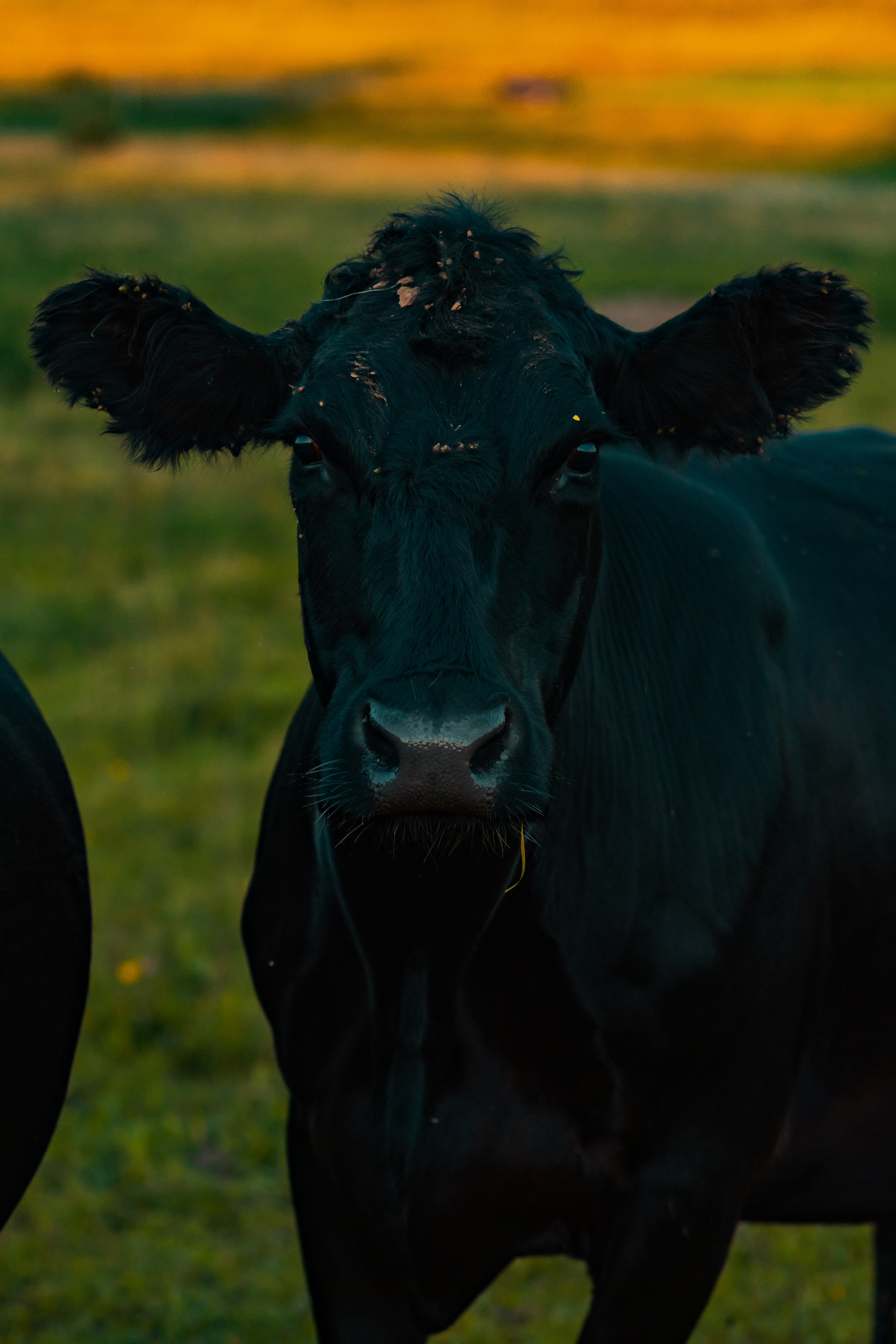 Деревня Мишнево | Калужская область. Папка кадров 📁