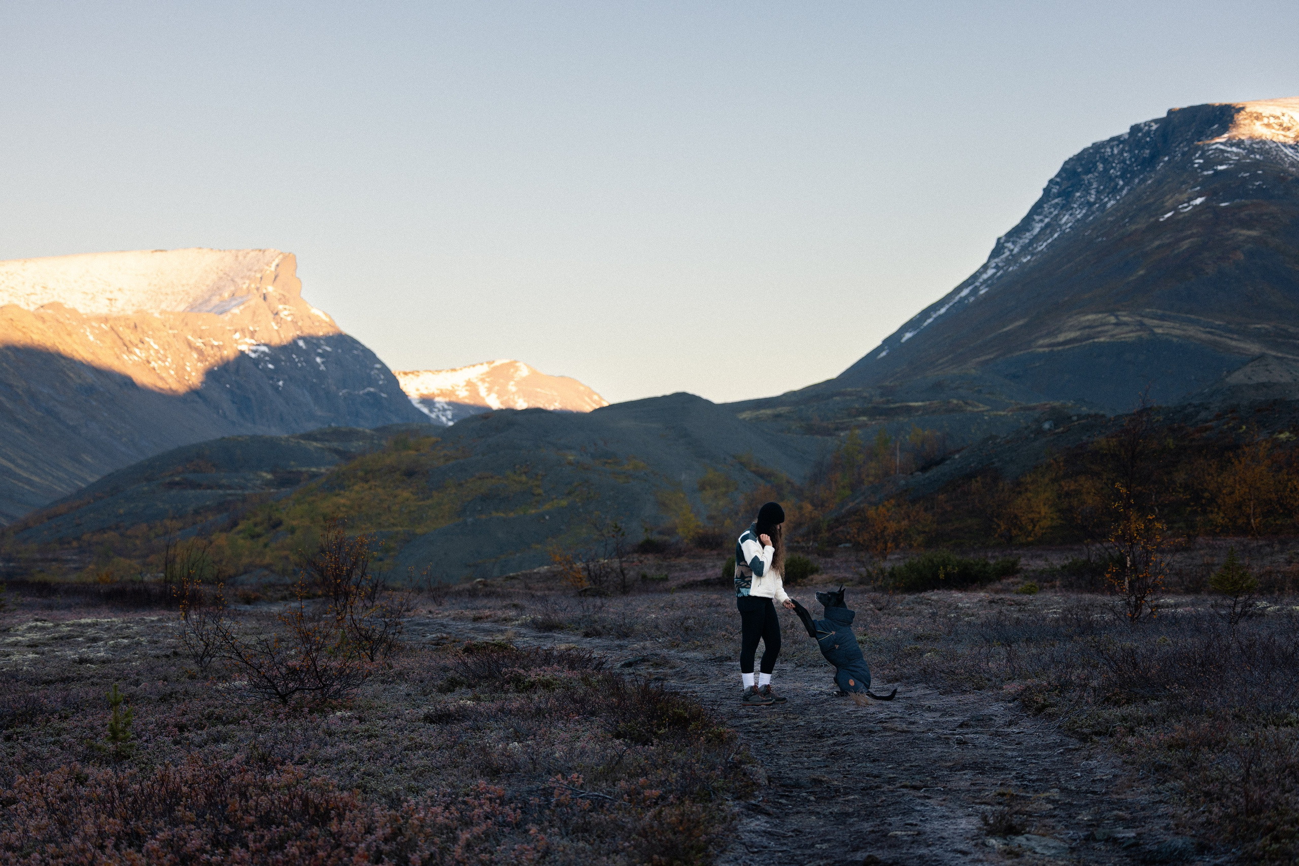 Кольский. Фотограф и видеограф анималист Аганина Дарья