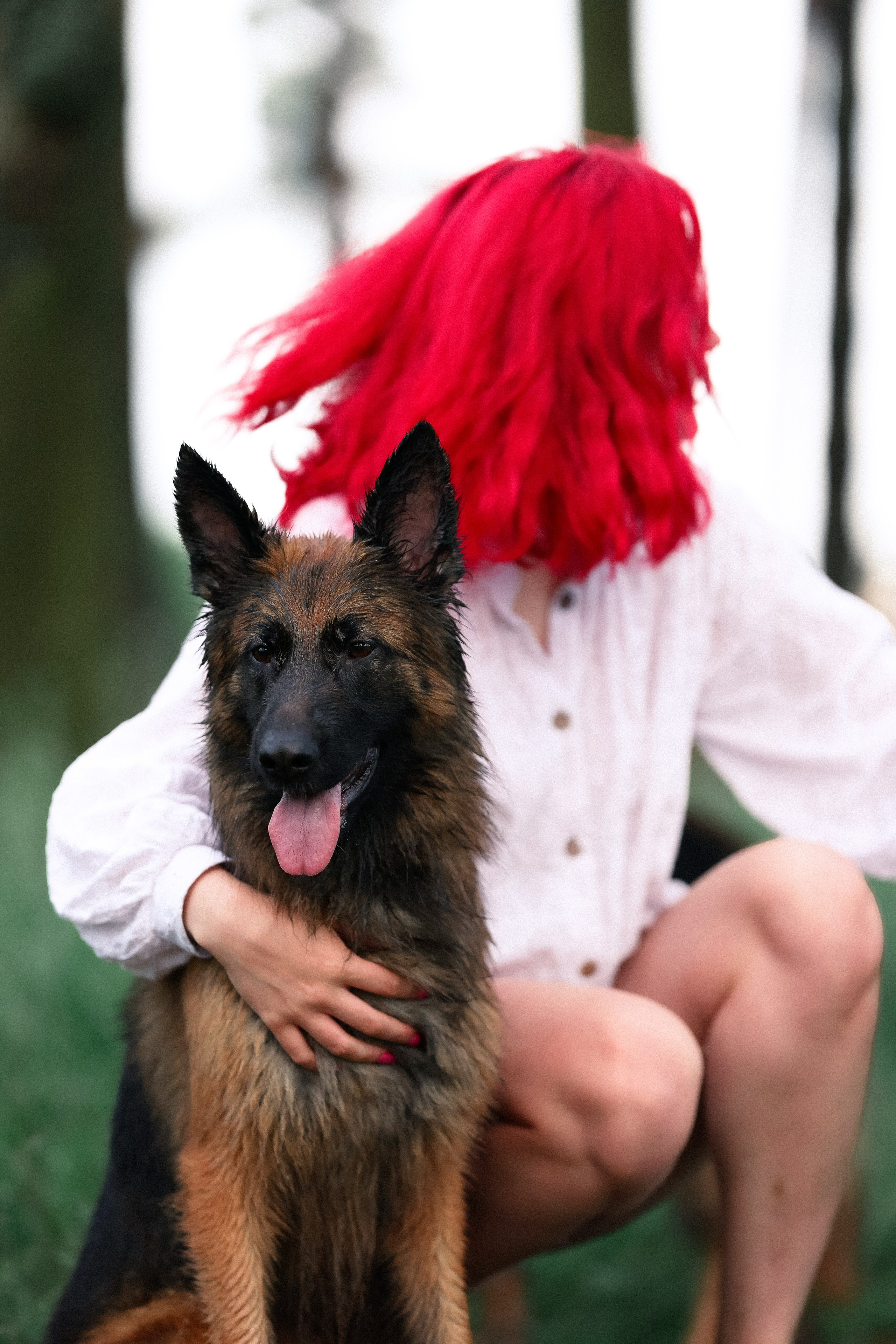 Алена, Фанни и Фрея. Фотограф и видеограф анималист Аганина Дарья