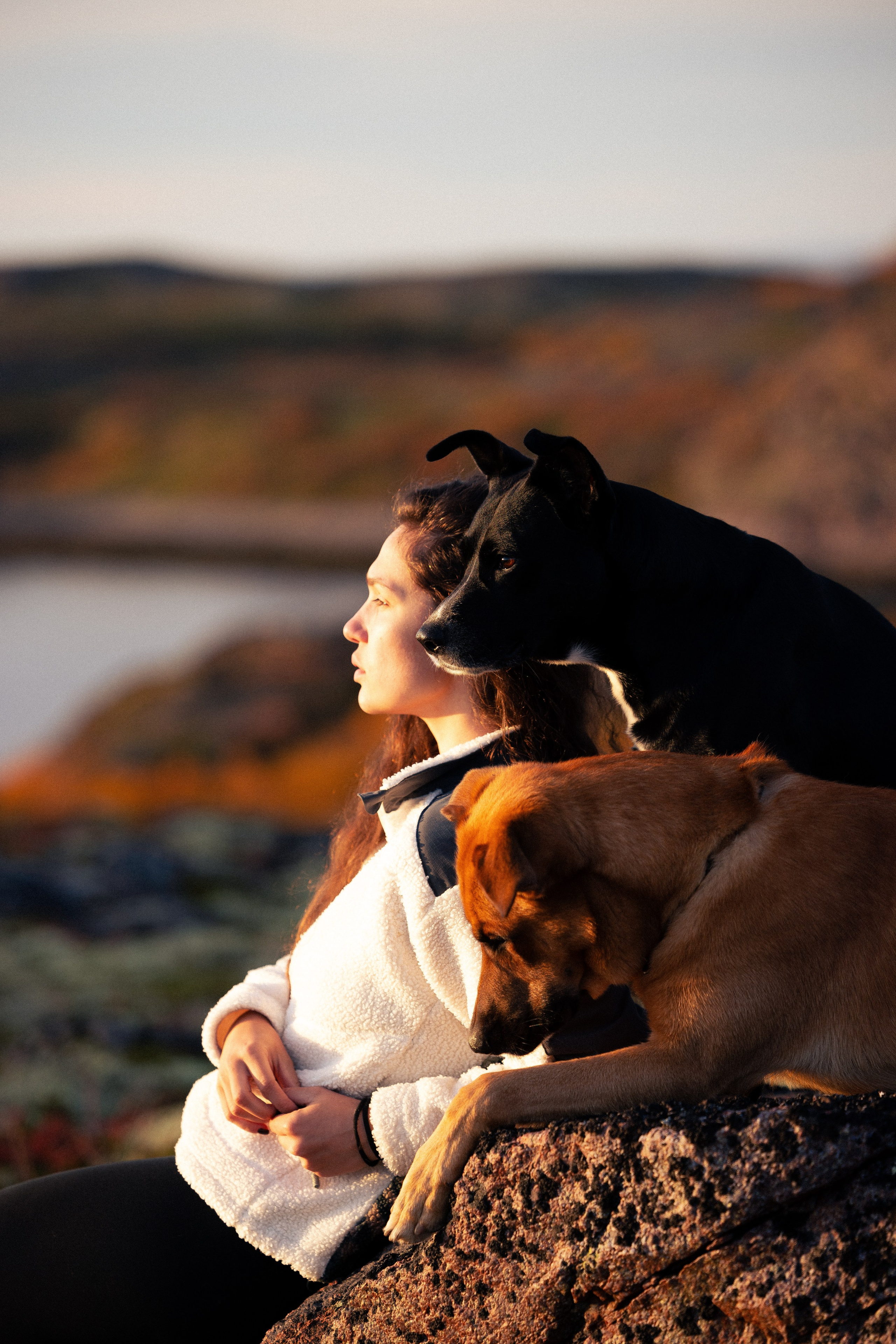 Кольский. Фотограф и видеограф анималист Аганина Дарья