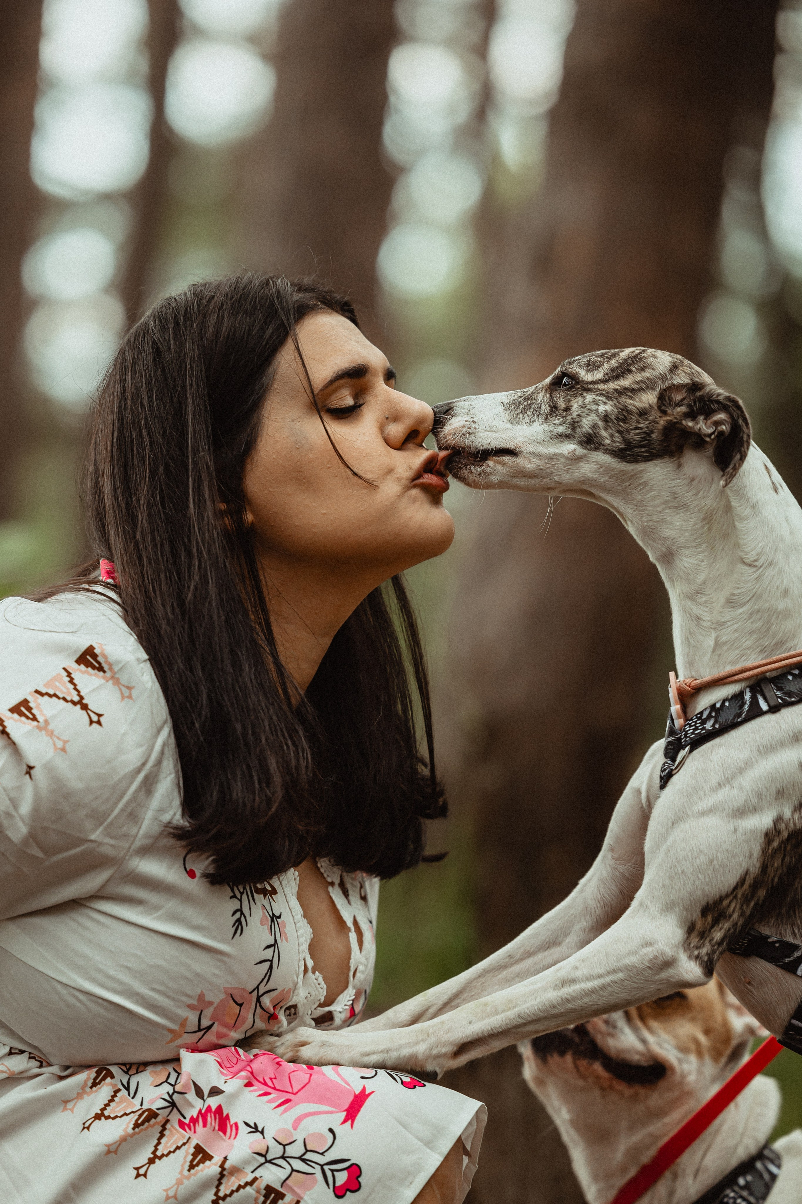 Выездной дог-тренинг от школы «Шерсть имею»