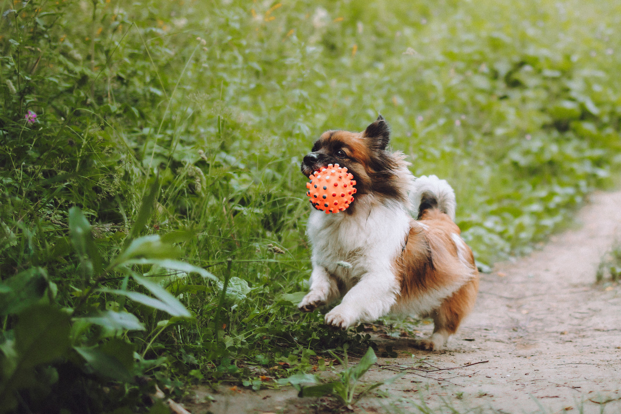 Катя, Андрей, Гектор, Ричи, Тортик и Трой