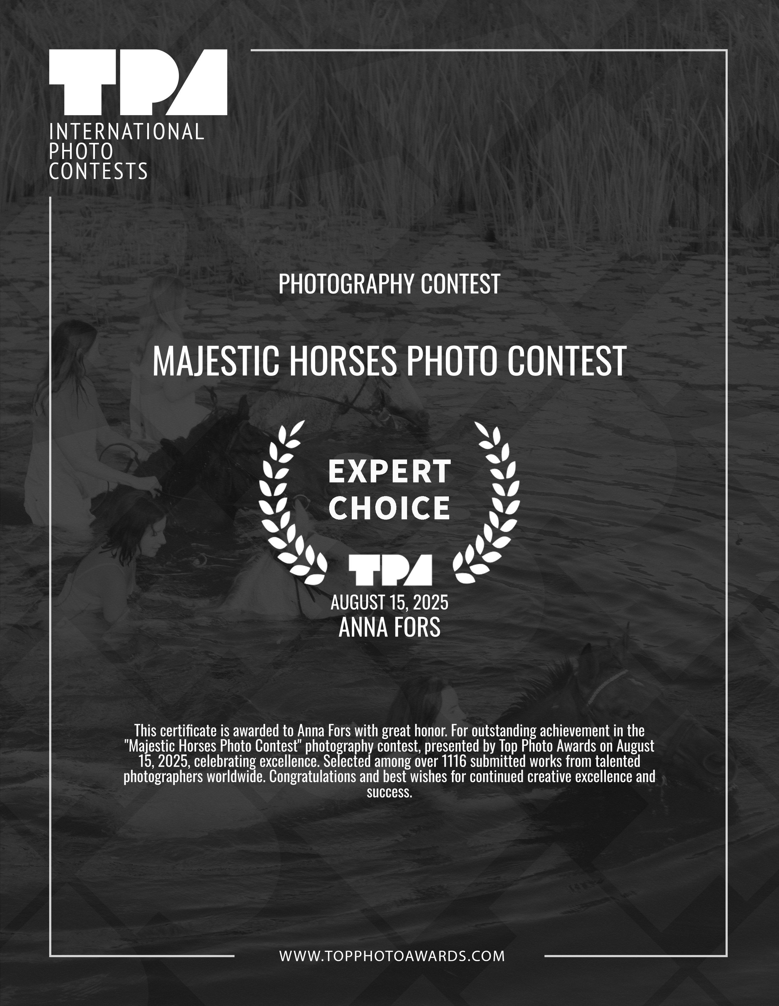 Награды фотохудожника Анны Форс — Победитель BICFP, TopPhotoAwards и финалист Liquida Grant. Арт-ню фотограф, Фотохудожник в Москве Анна Форс