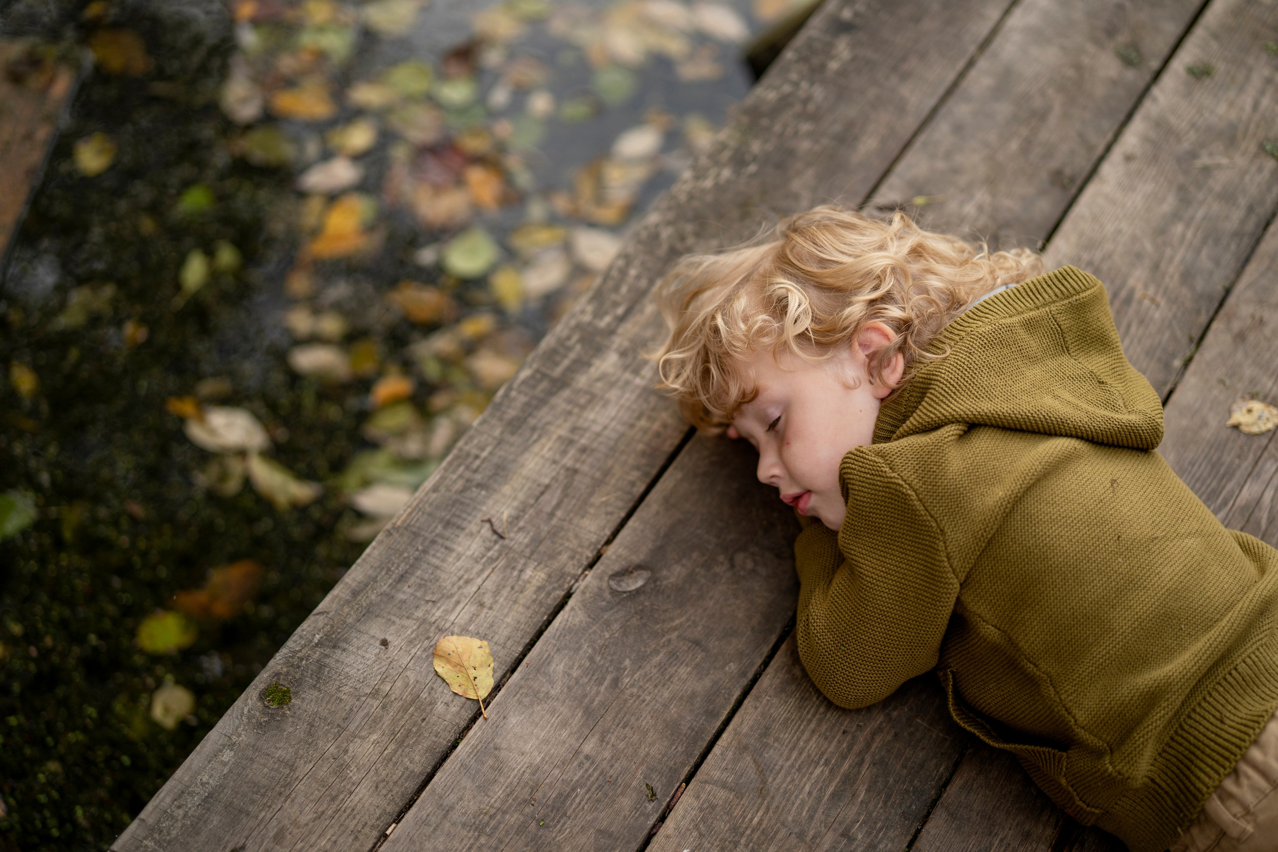 Портфолио. Карнеева Елена. Детский, семейный фотограф