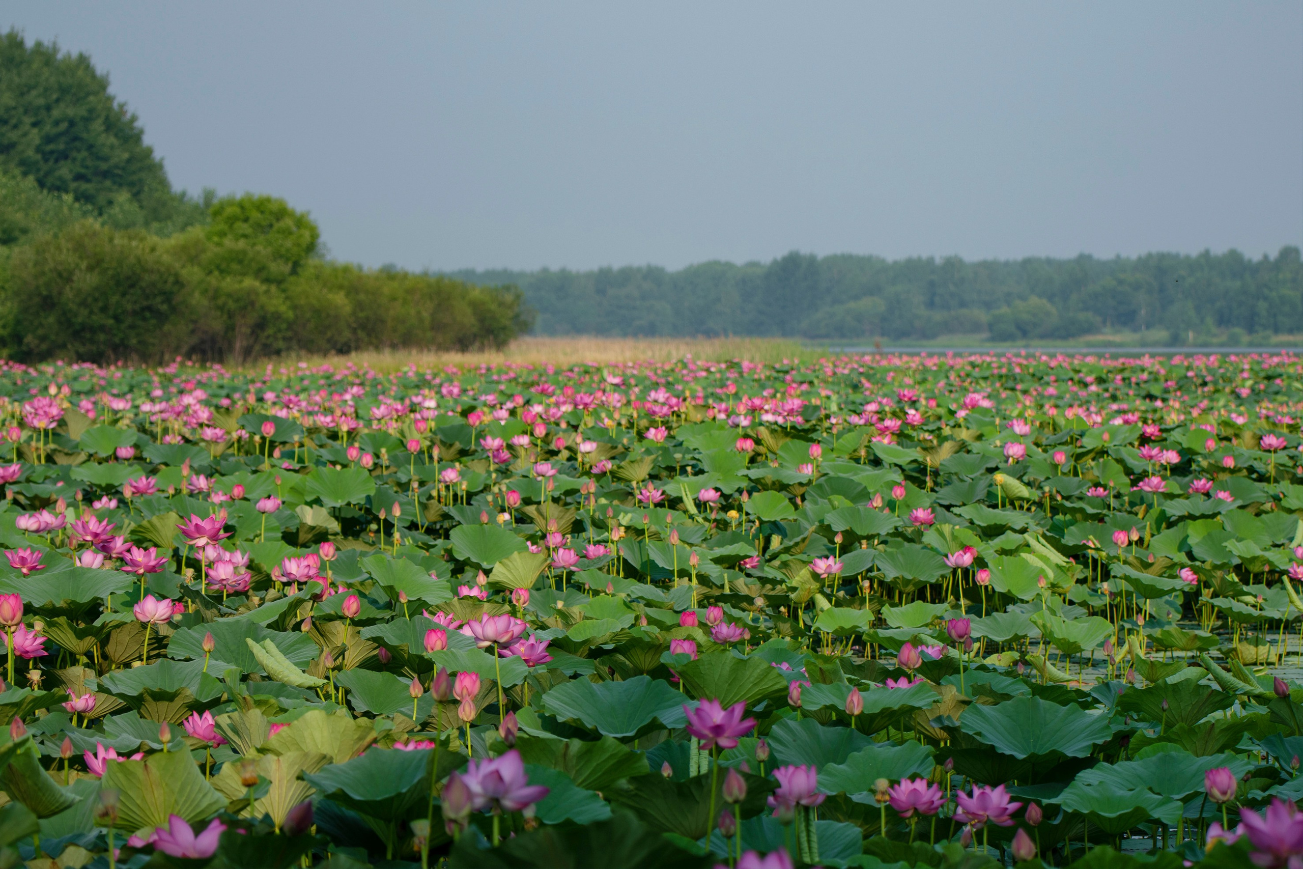 Природа Хабаровского края. Команда фотографов Кристины Ивановой