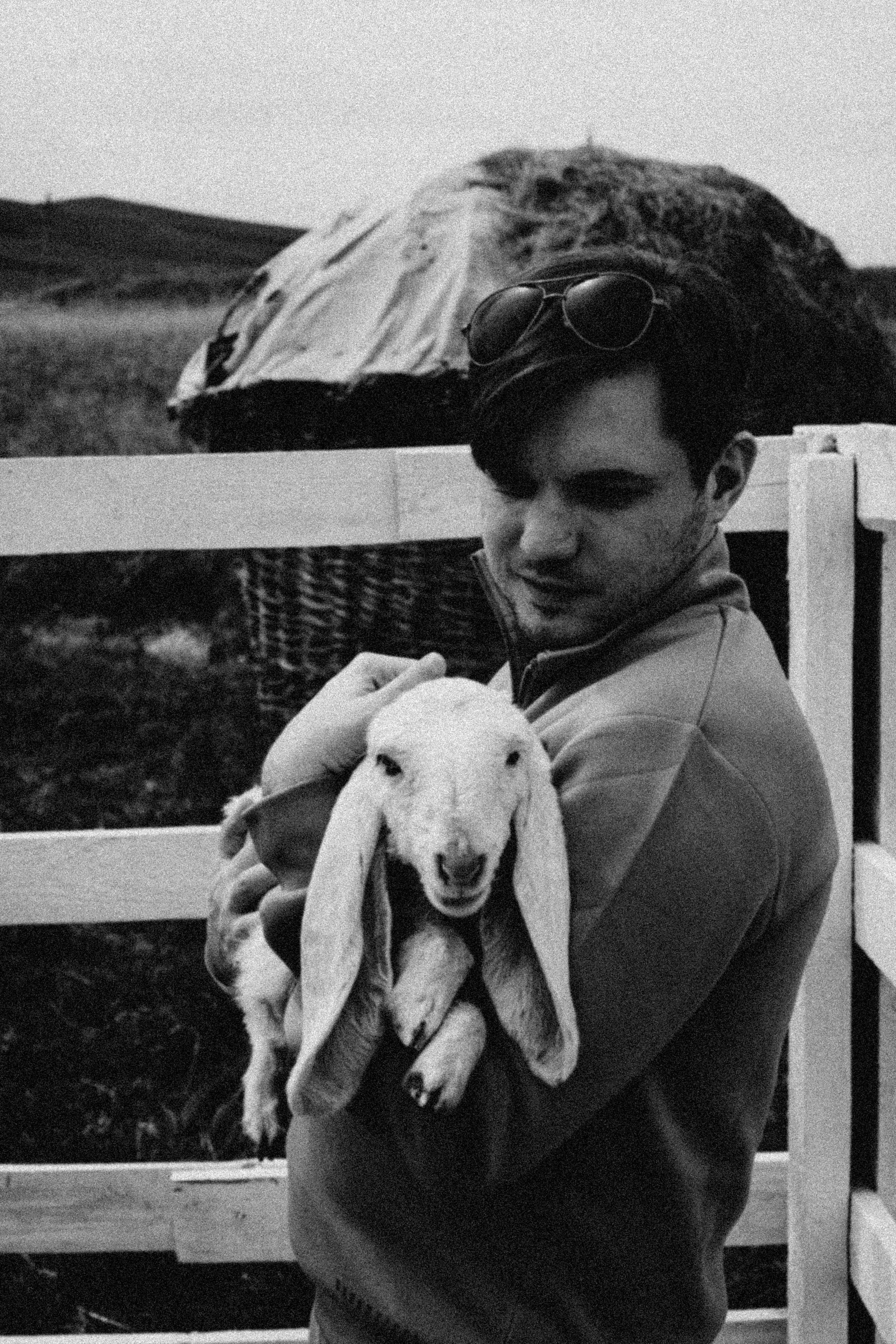 Ферма Альпак. Профессиональный фотограф, Санкт-Петербург — Виктория Богомолова